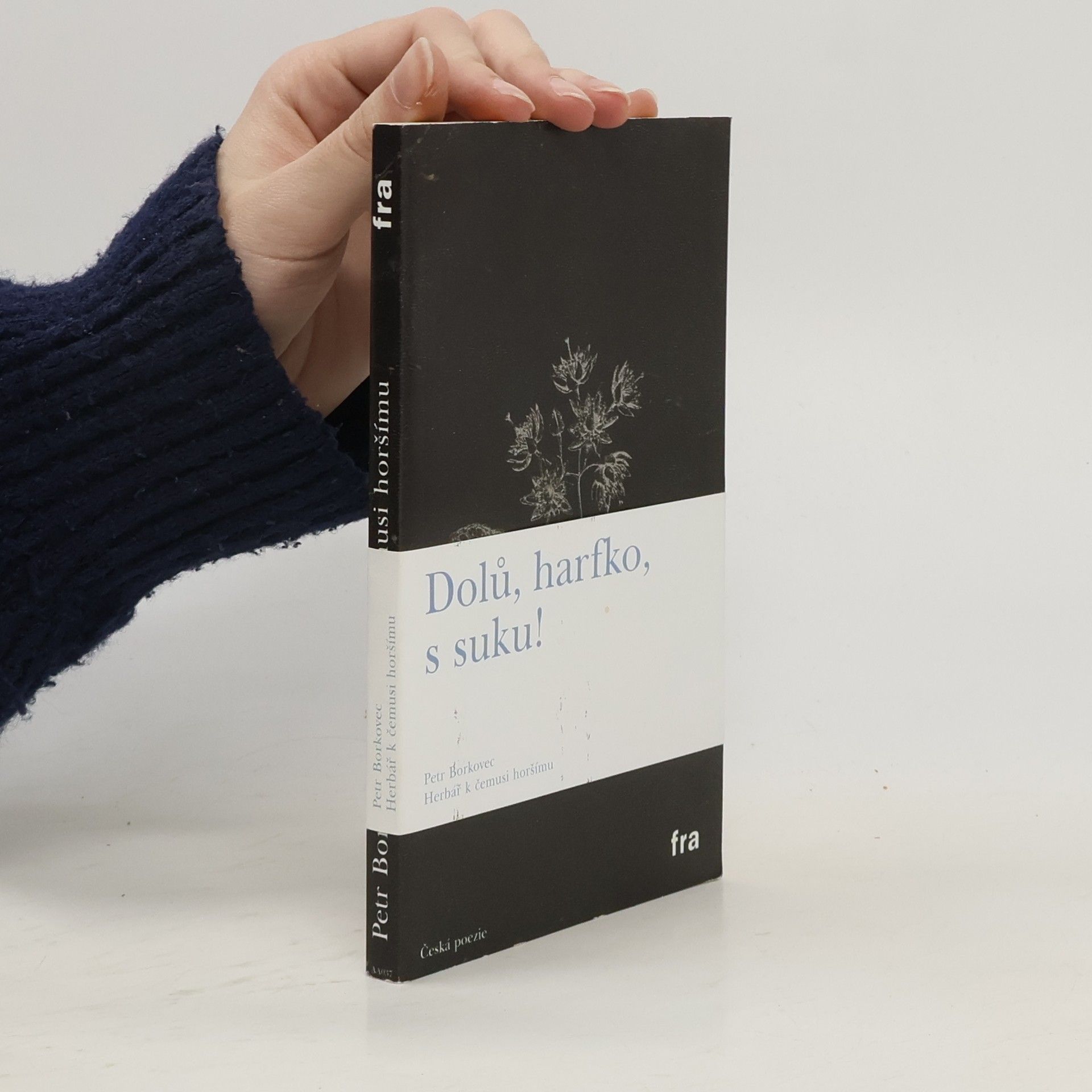 Petr Borkovec Herbář k čemusi horšímu: Ohlasy a centony a procvičování