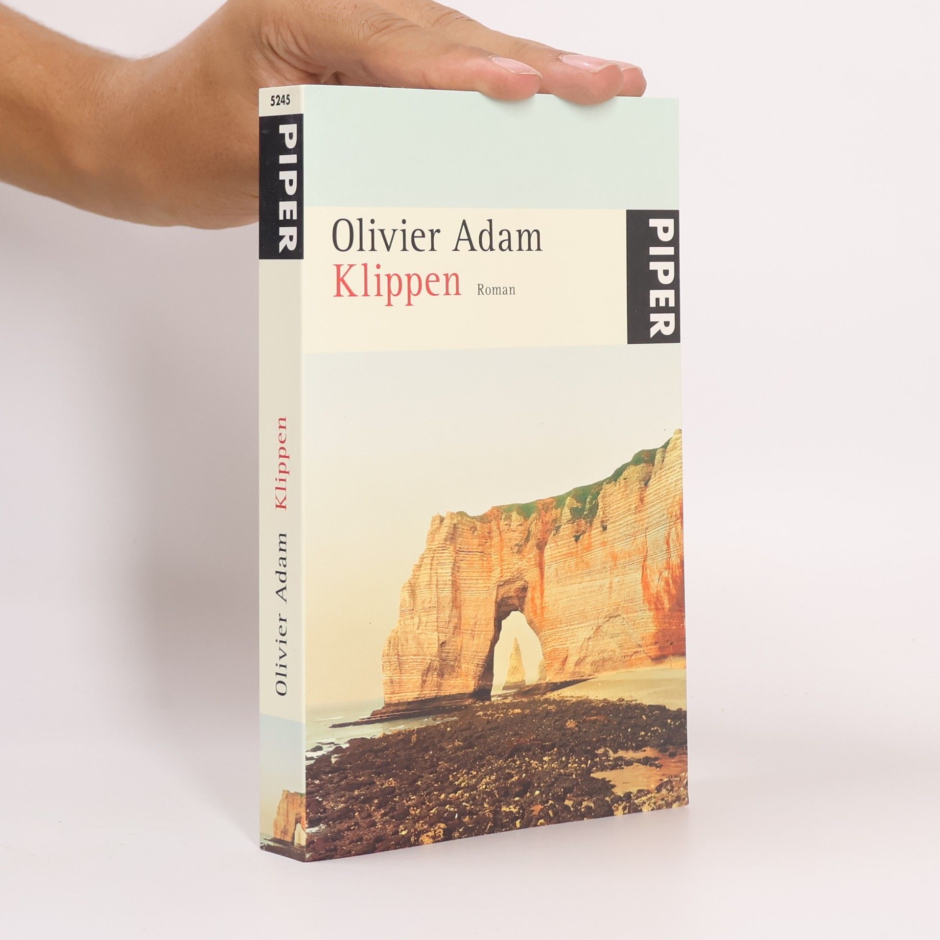 Olivier Adam Klippen. Roman