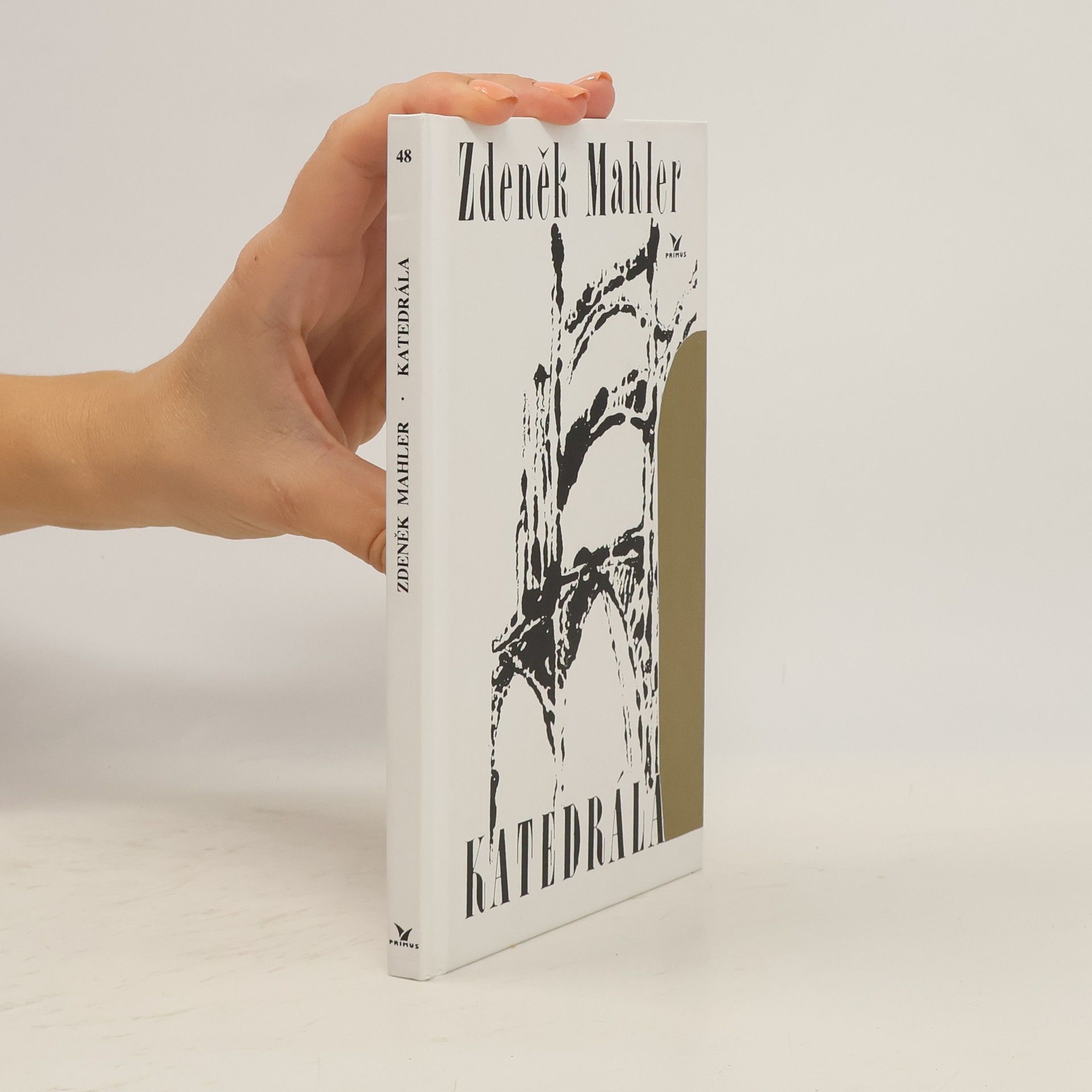 Zdeněk Mahler Katedrála
