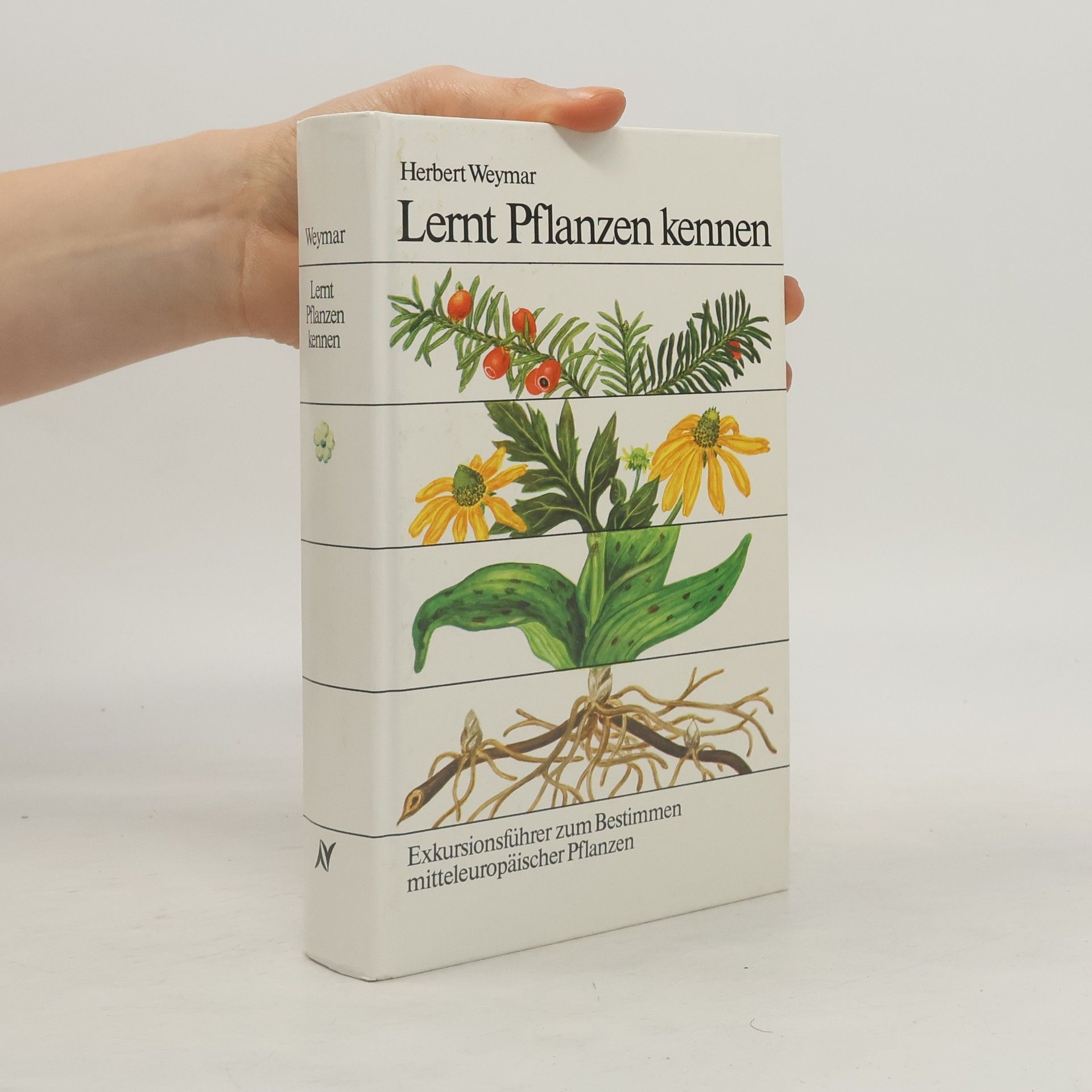 Herbert Weyma Lernt Pflanzen kennen