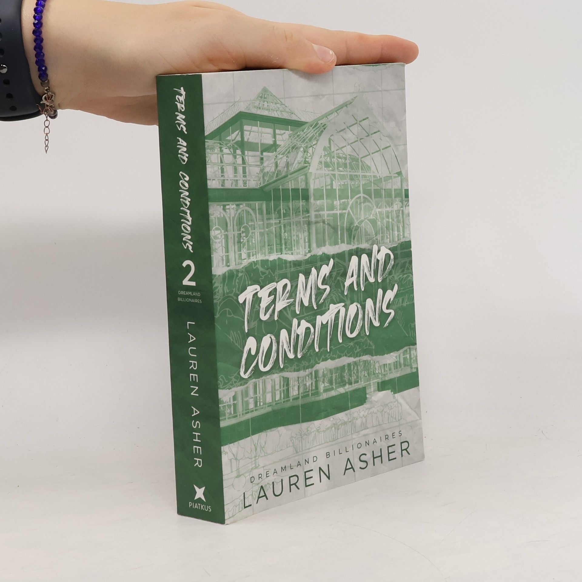 Dreamland billionaires. Terms and conditions