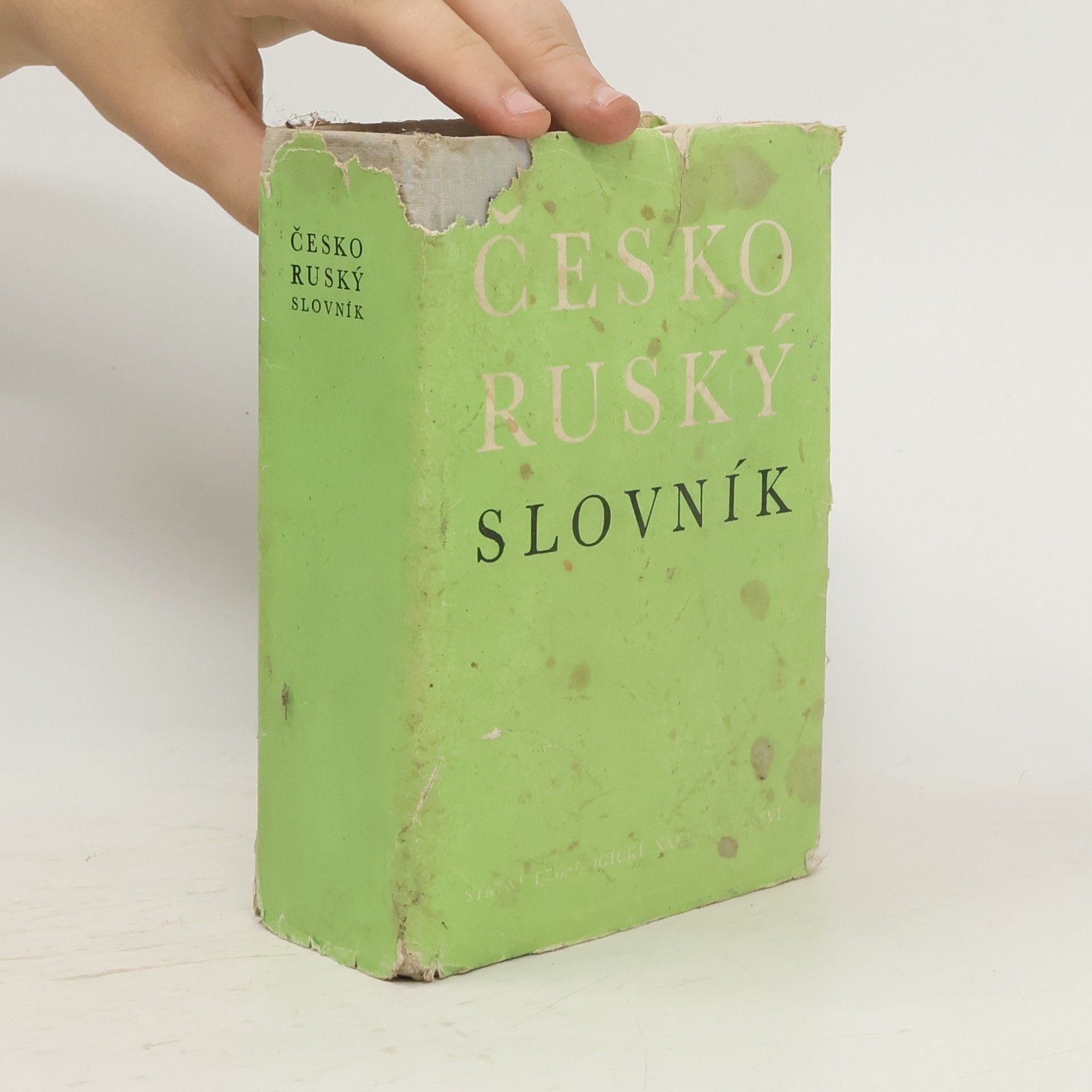Collectif d'auteurs Česko-ruský slovník