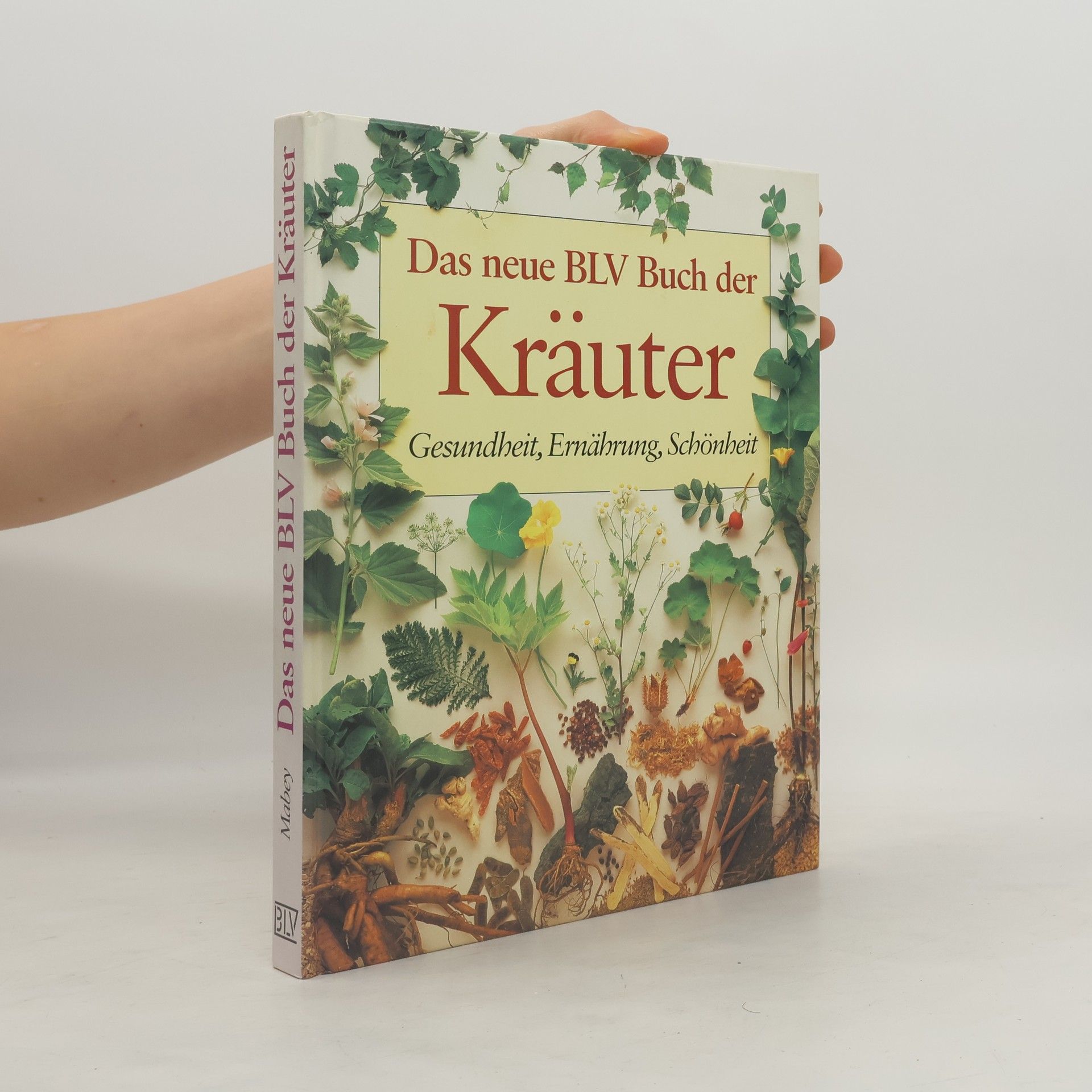 Richard Mabey Das neue BLV-Buch der Kräuter