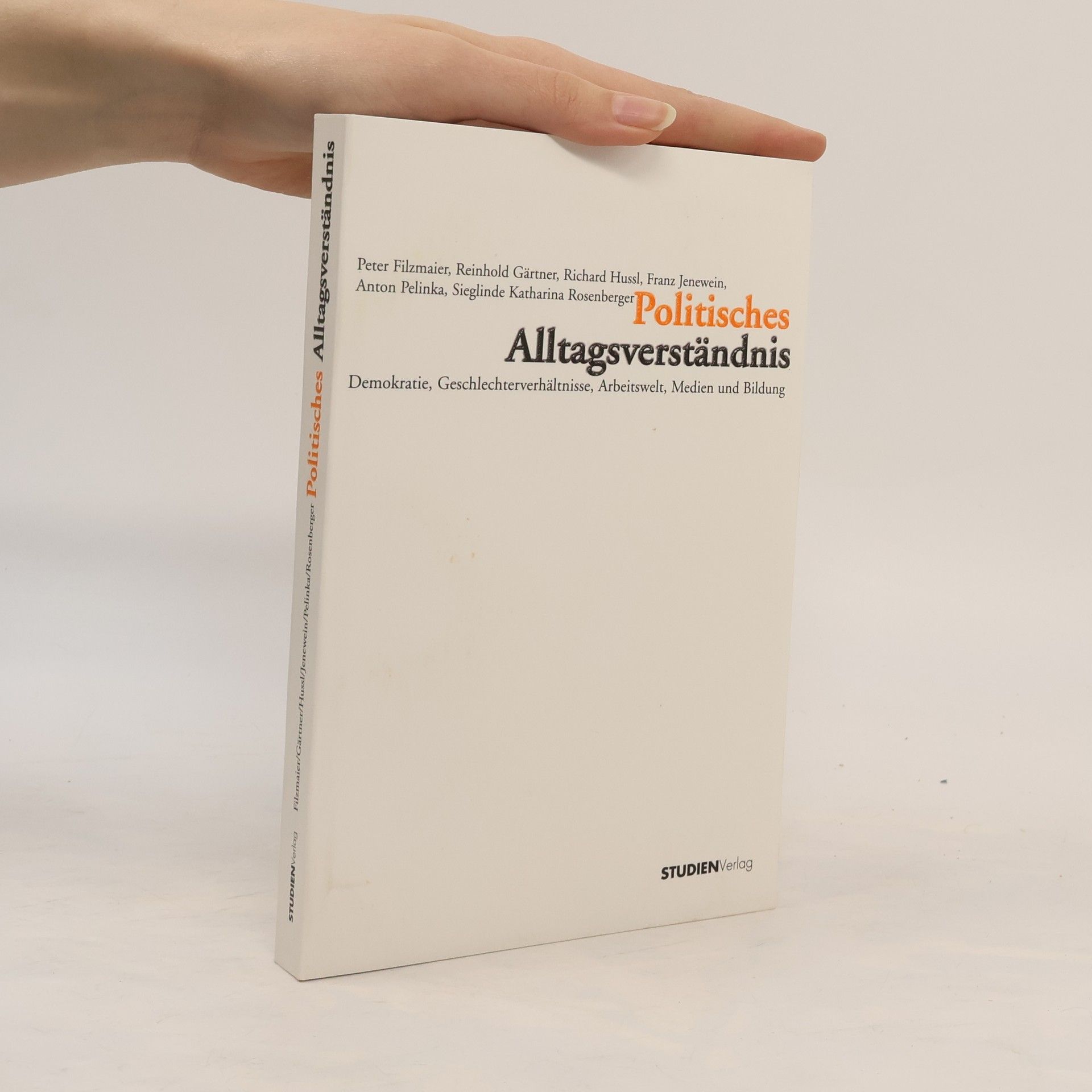 Politisches Alltagsverständnis