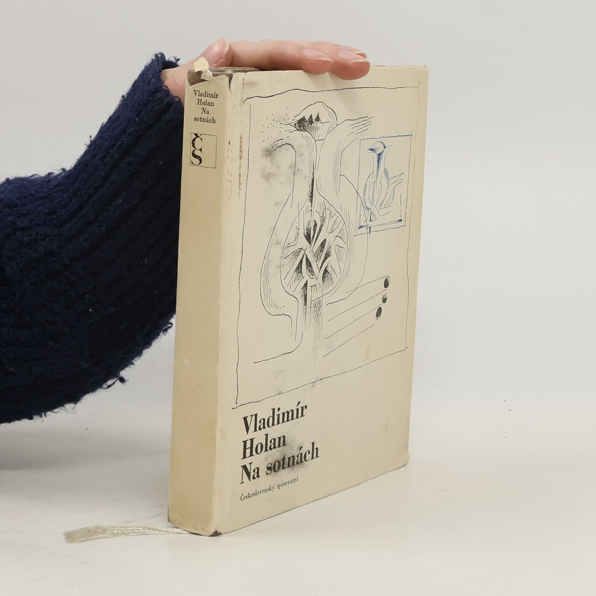 Vladimír Holan Na sotnách