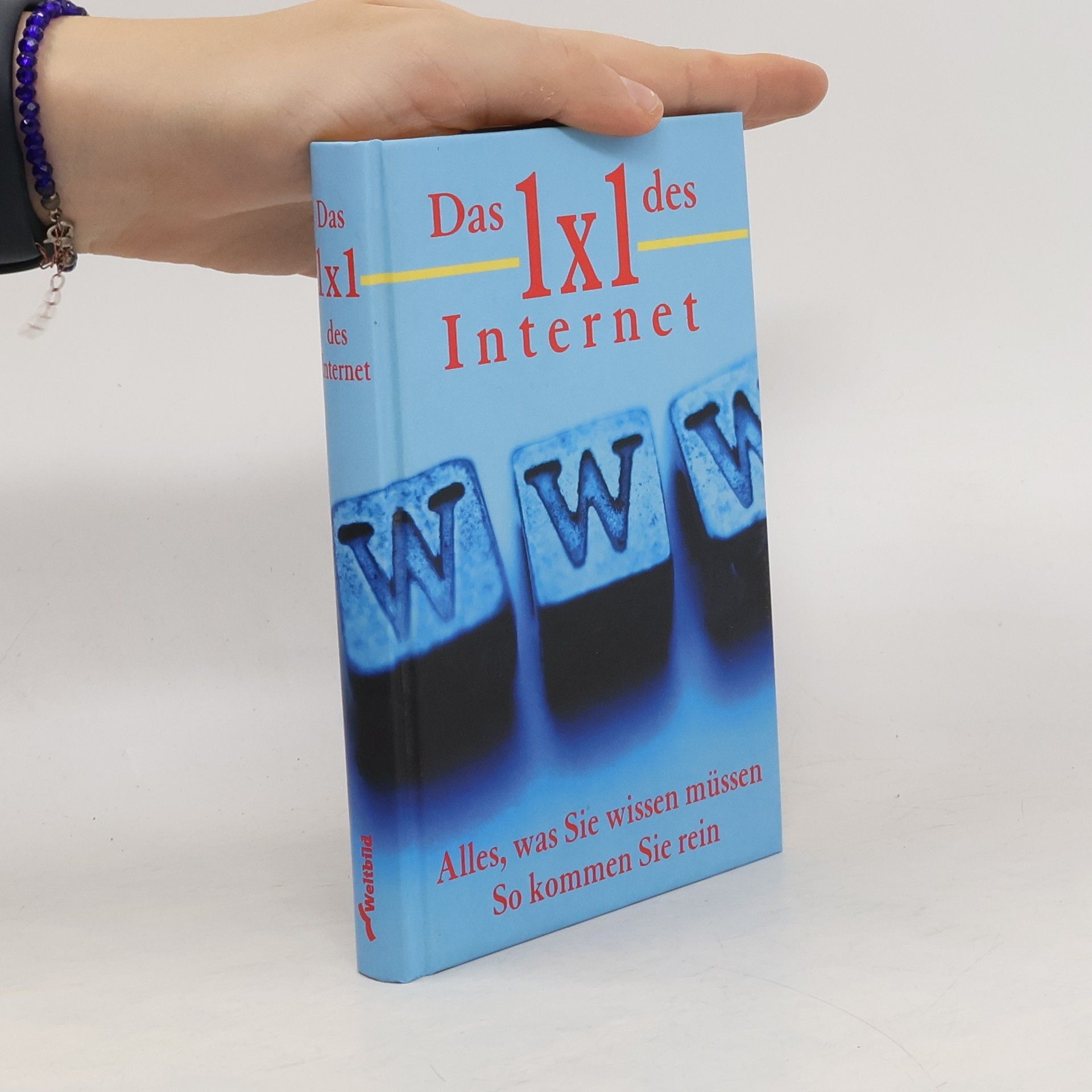 Das 1 x 1 des Internet