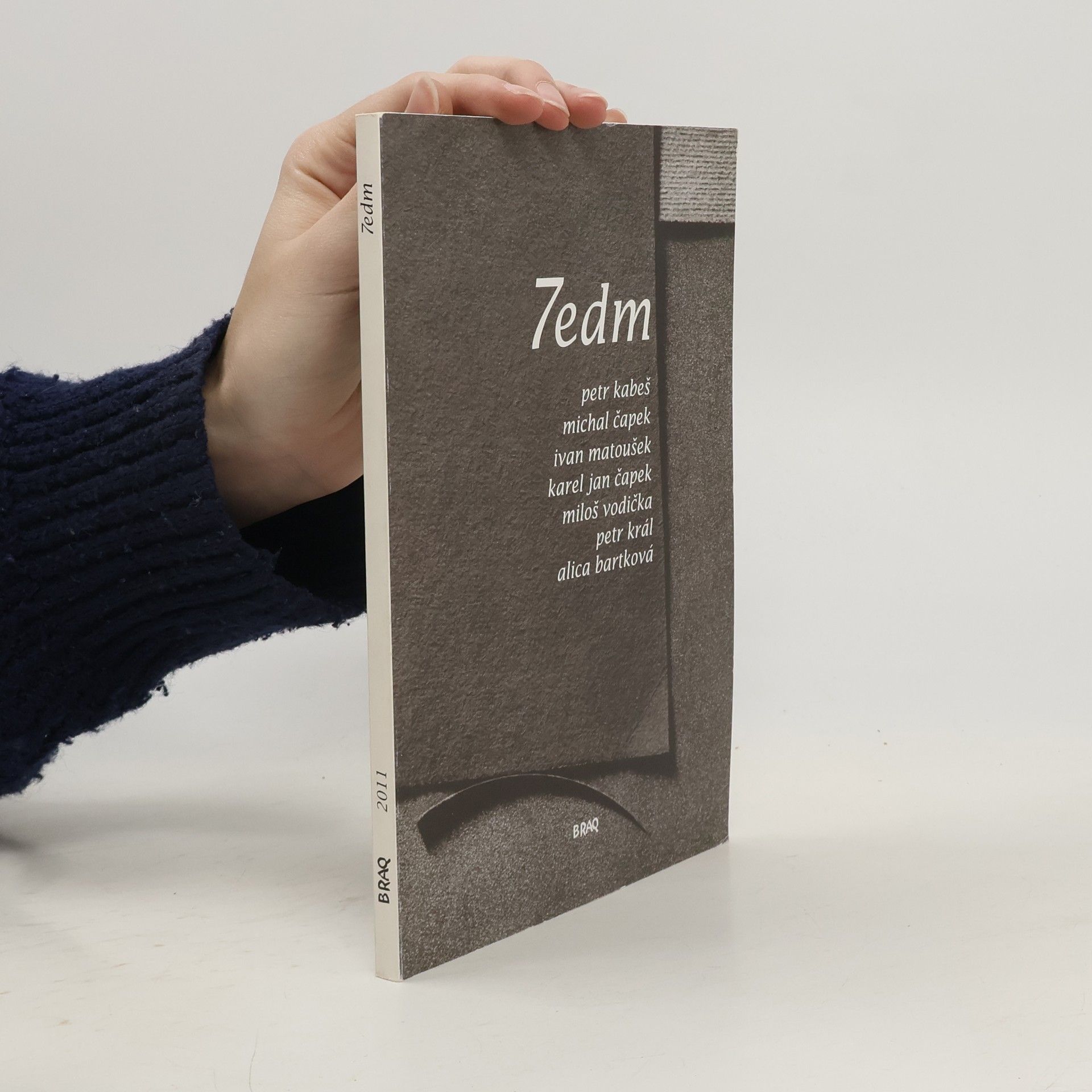 Pavel Rajchman 7edm. Petr Kabeš, Michal Čapek, Ivan Matoušek, Karel Jan Čapek, Miloš Vodička, Petr Král, Alica Bartková