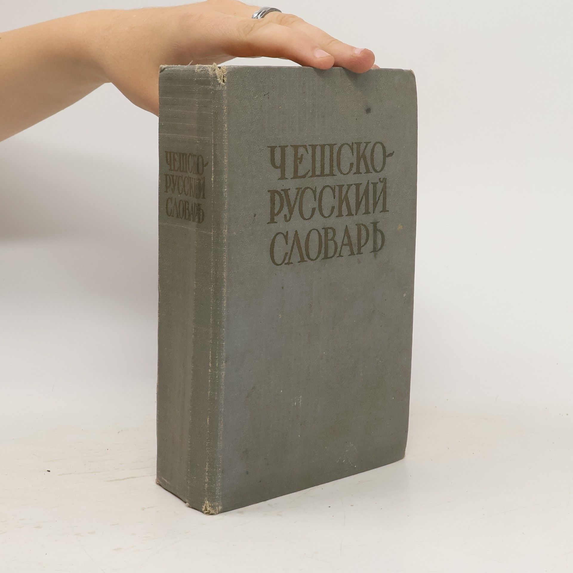 Autorenkollektiv Чешско-русский словарь