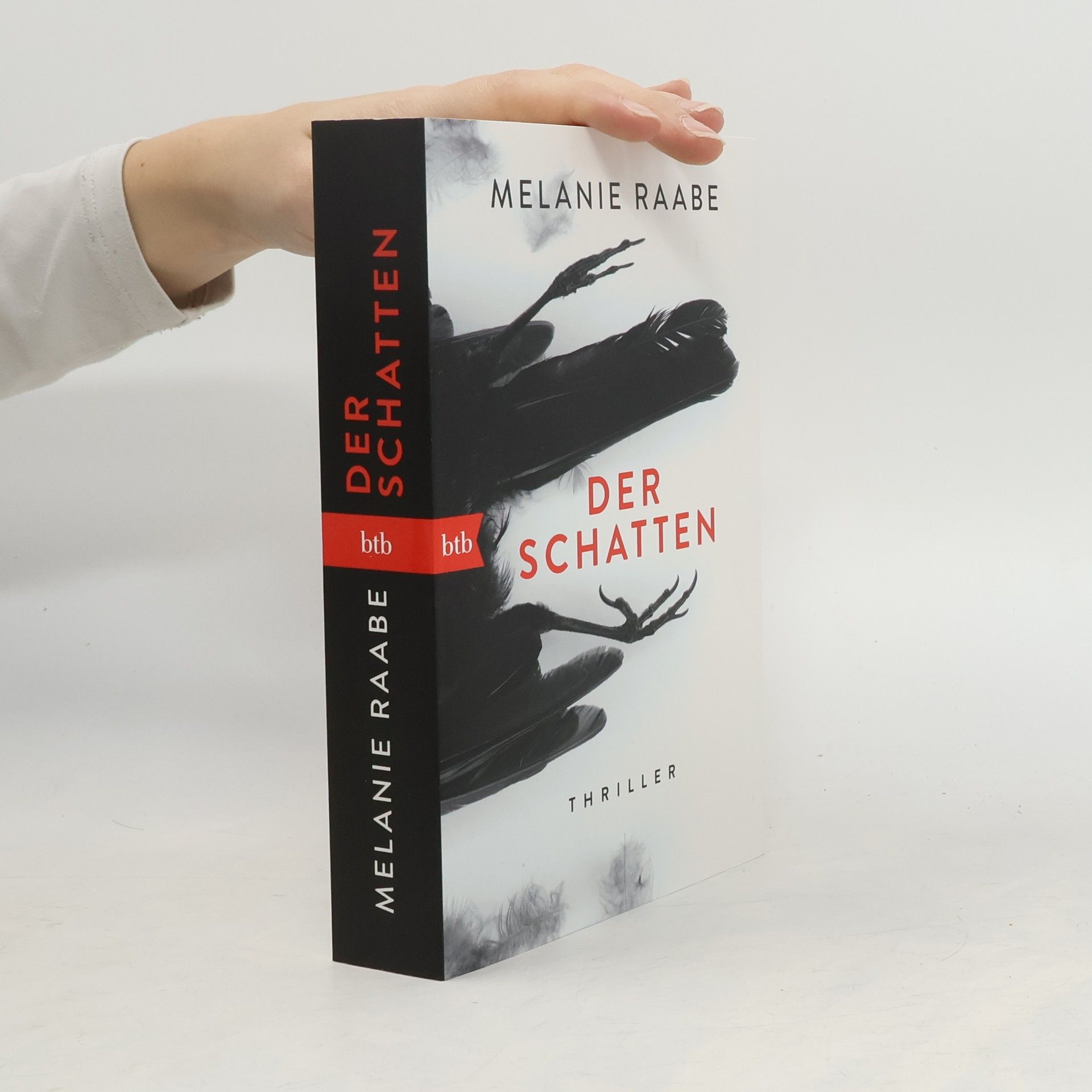 Melanie Raabe Der Schatten