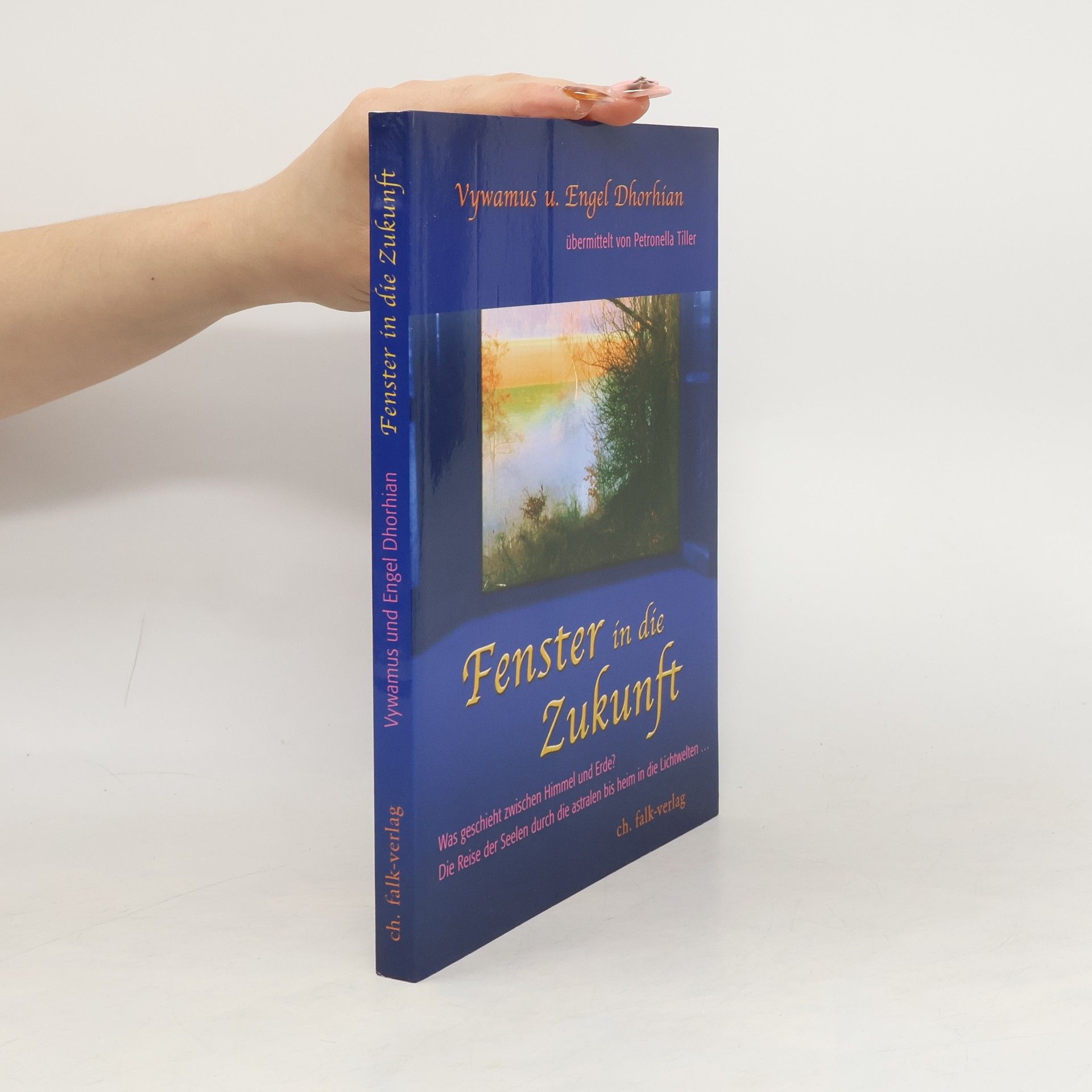 Vywamus Fenster in die Zukunft