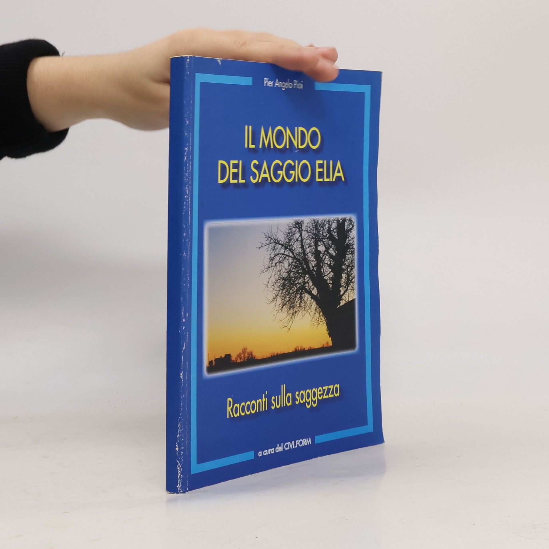 Pier Angelo Piai Il mondo del saggio elia