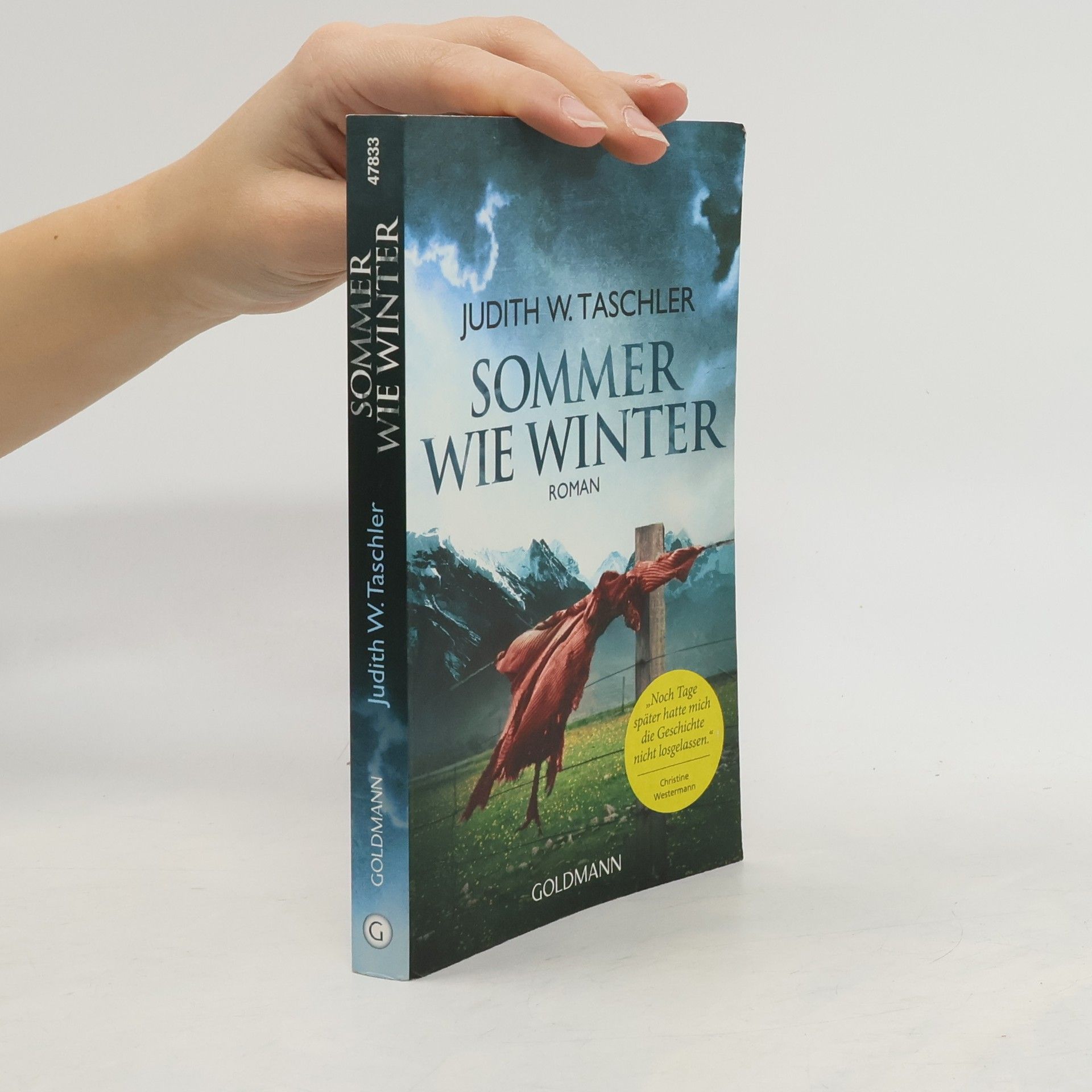 Judith Taschler Sommer wie Winter