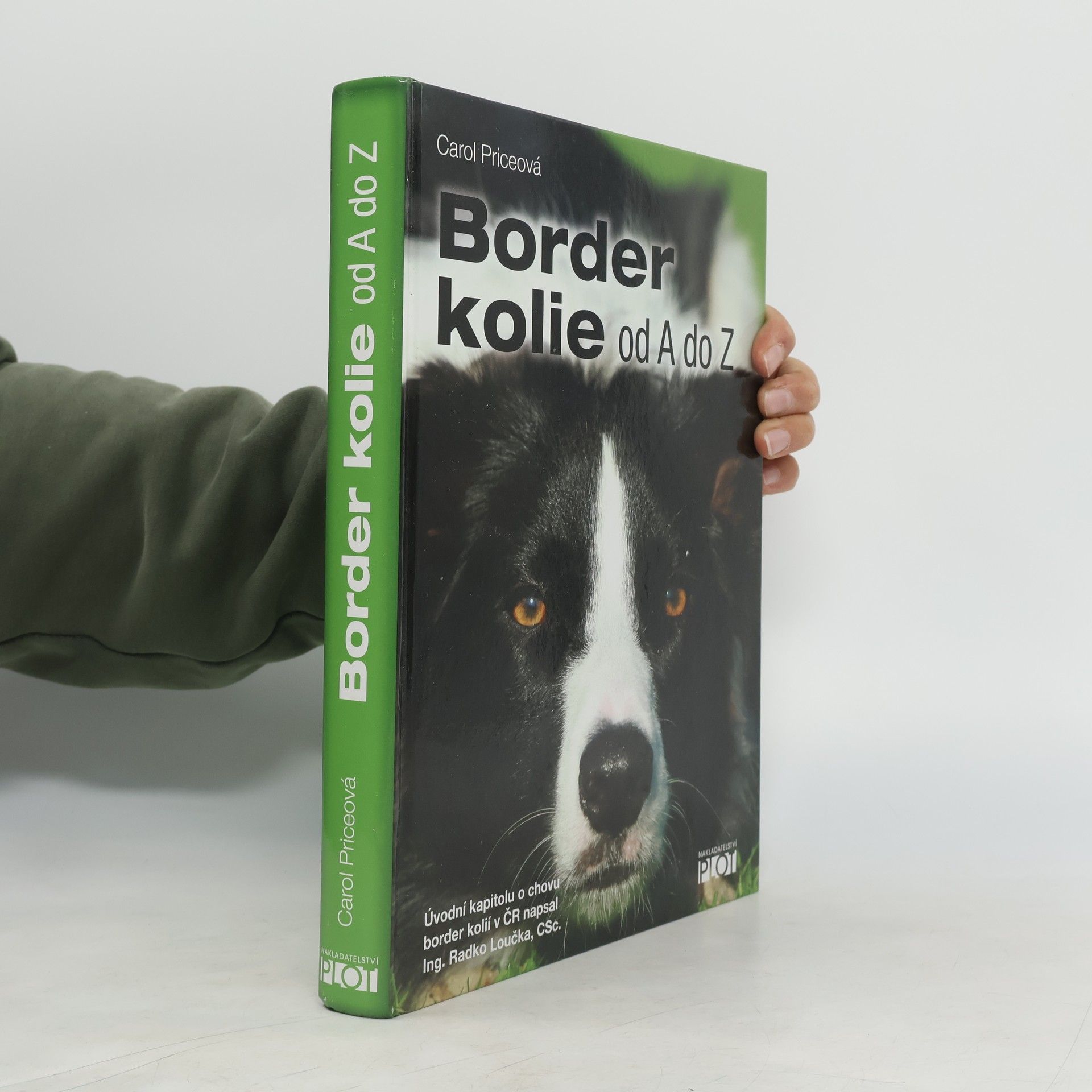 Carol Price Border kolie od A do Z
