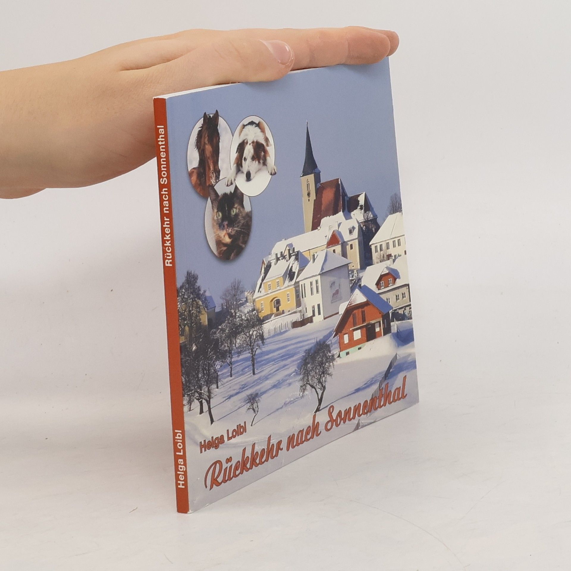 Rückkehr nach Sonnenthal