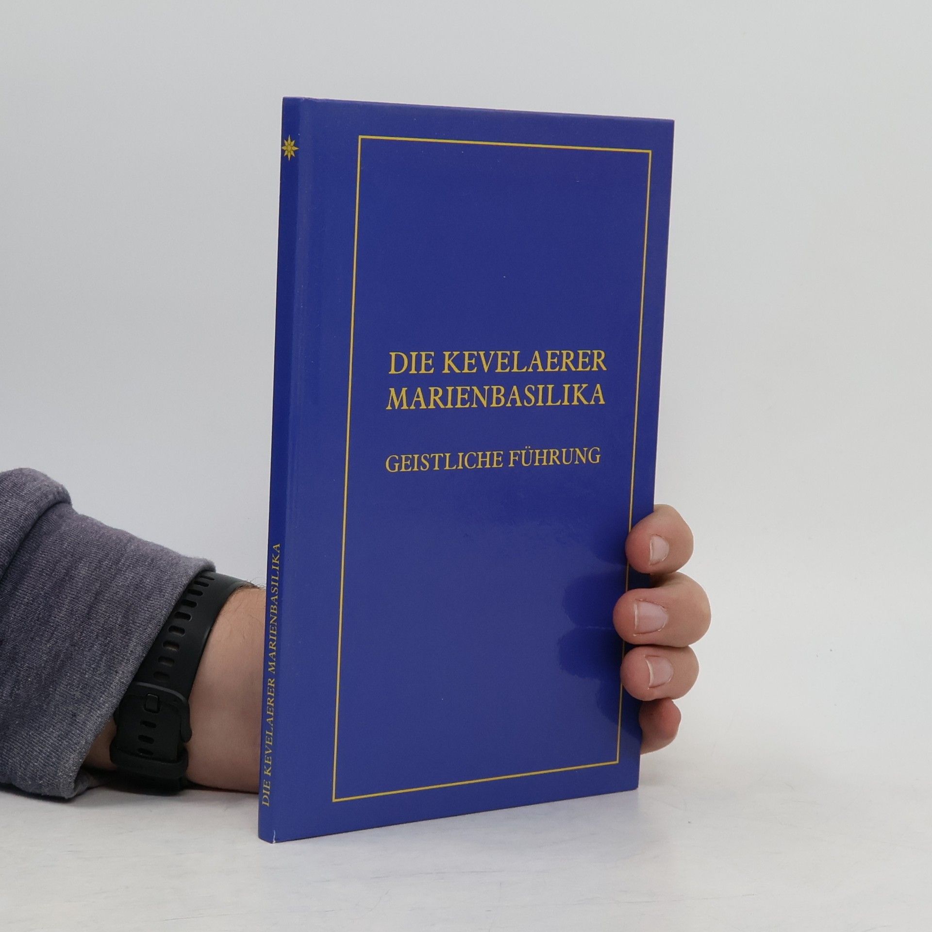 Ulrich Terlinden Die Kevelaerer Marienbasilika