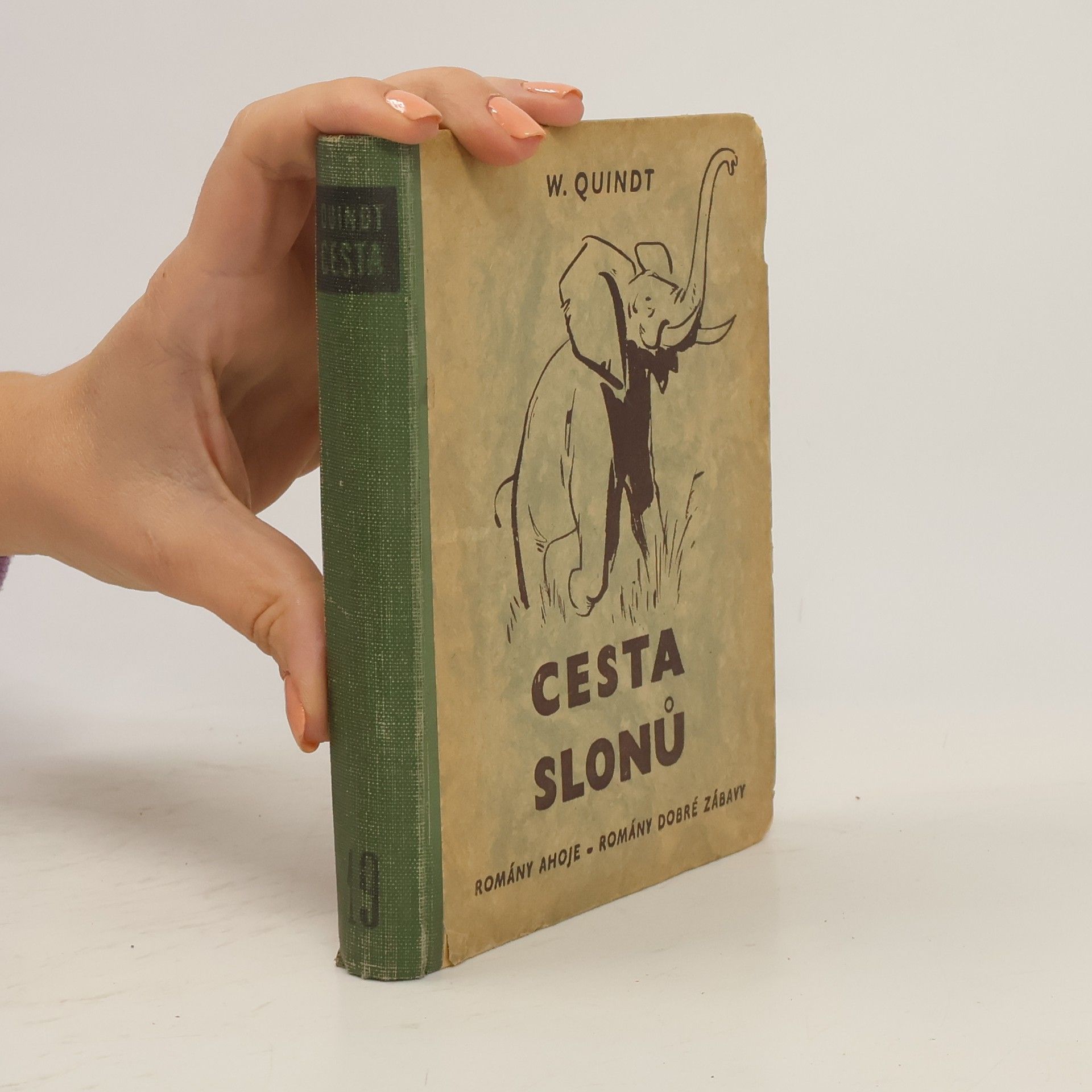 William Quindt Cesta slonů