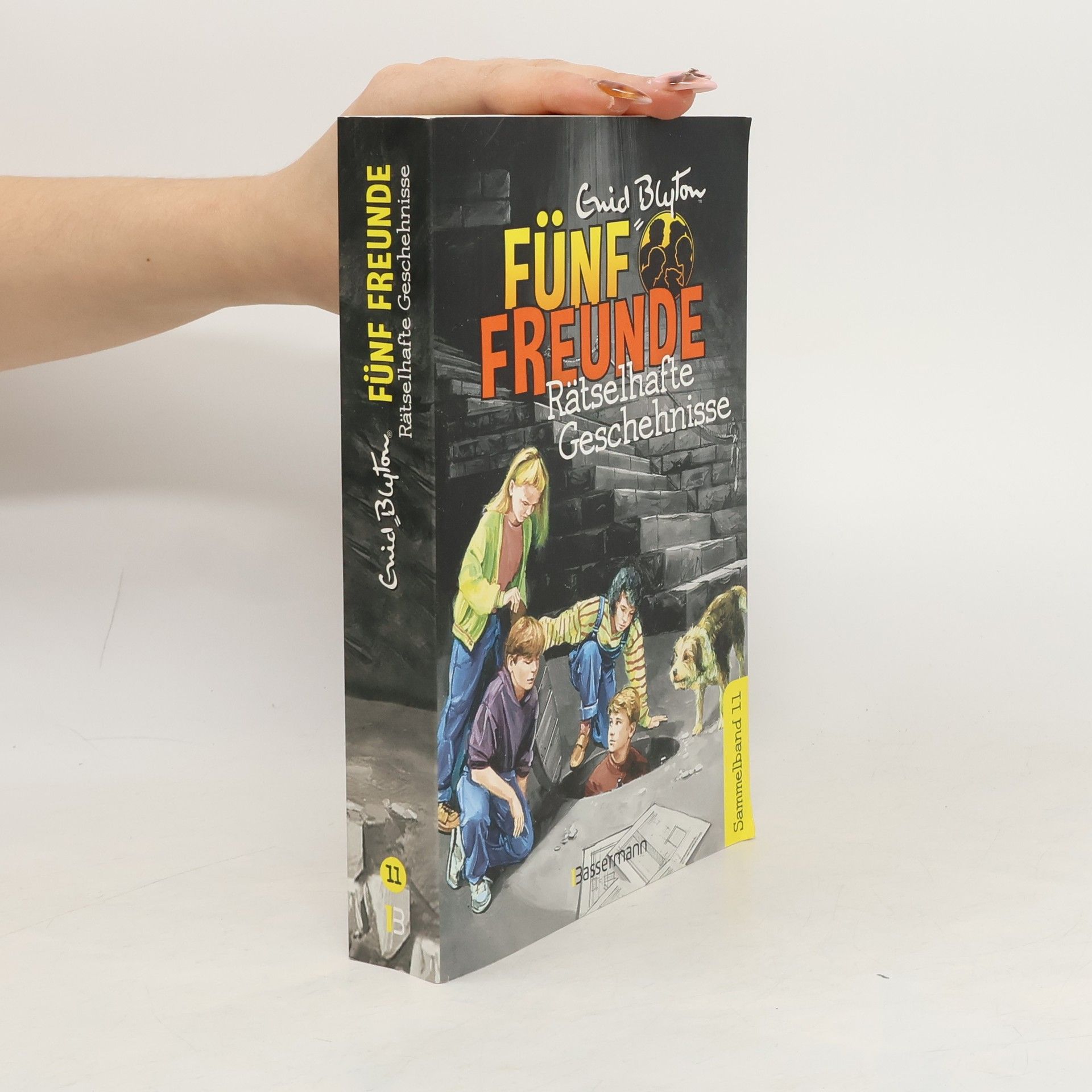 Enid Blyton Fünf Freunde - rätselhafte Geschehnisse