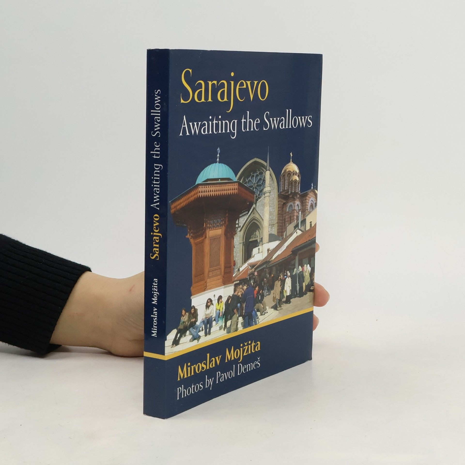 Sarajevo: Awaiting the Swallows