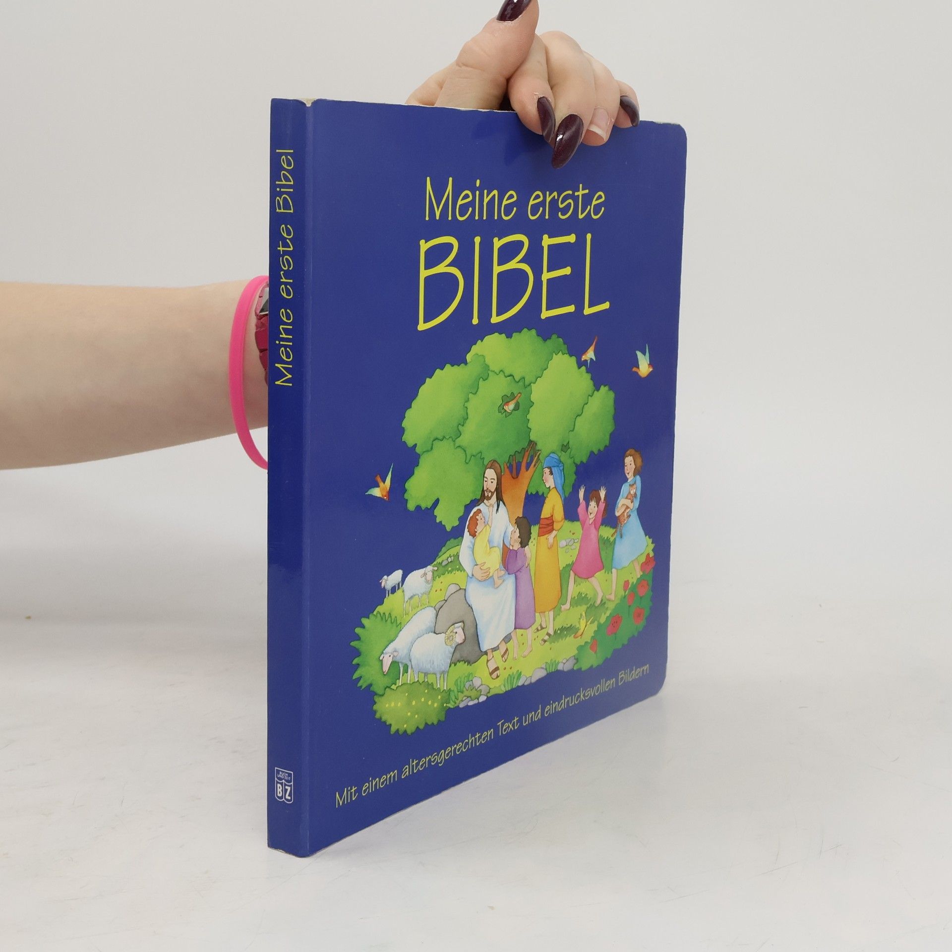Autorenkollektiv Meine erste Bibel