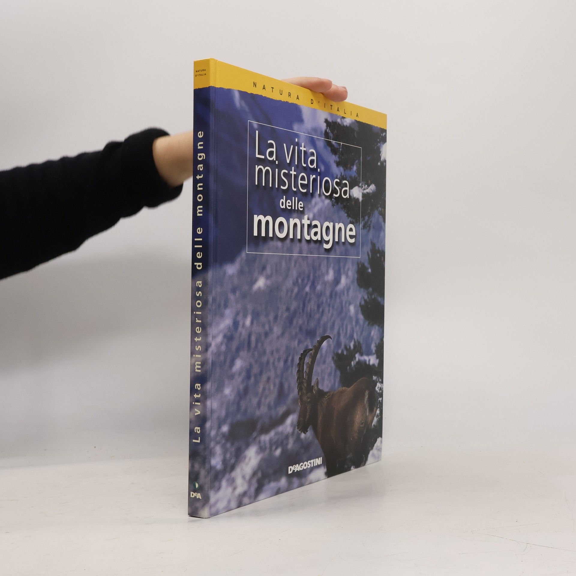 Collectif d'auteurs La vita misteriosa delle montagne