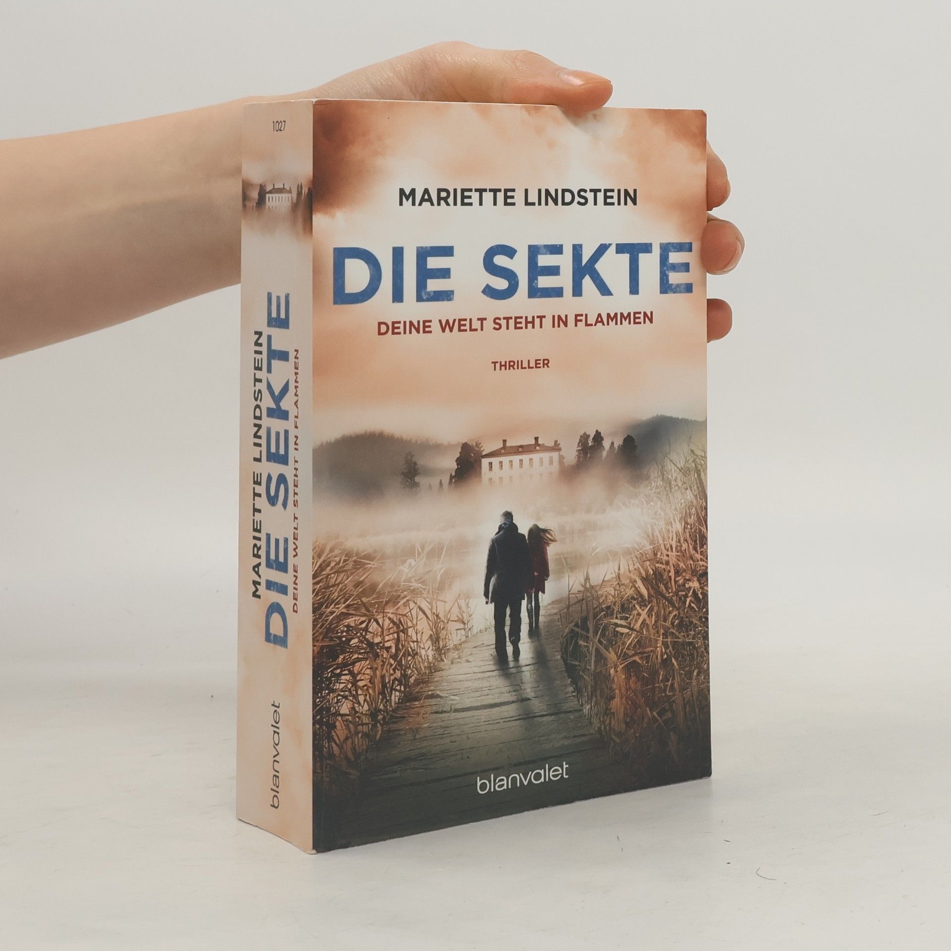 Die Sekte: Deine Welt steht in Flammen