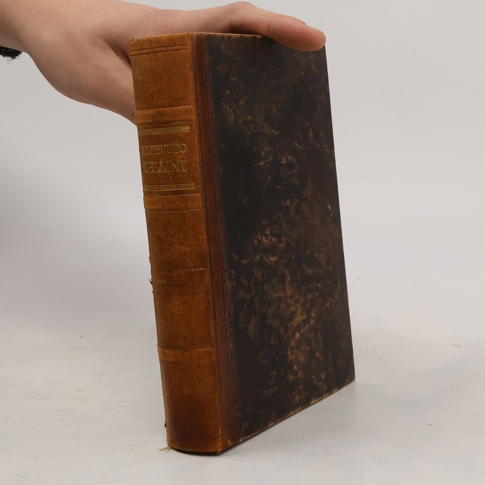 Johann Wolfgang von Goethe Leben des benvenuto cellini