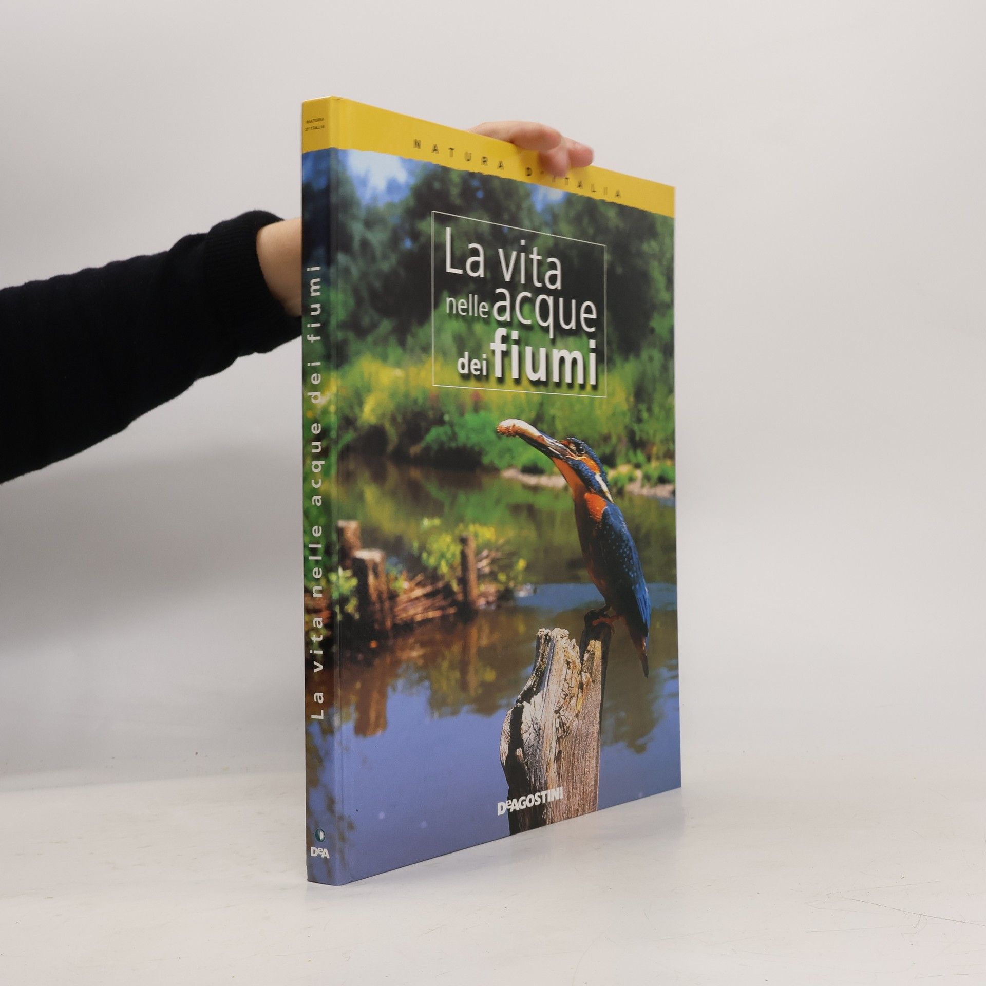 Collectif d'auteurs La vita nelle acque dei fiumi