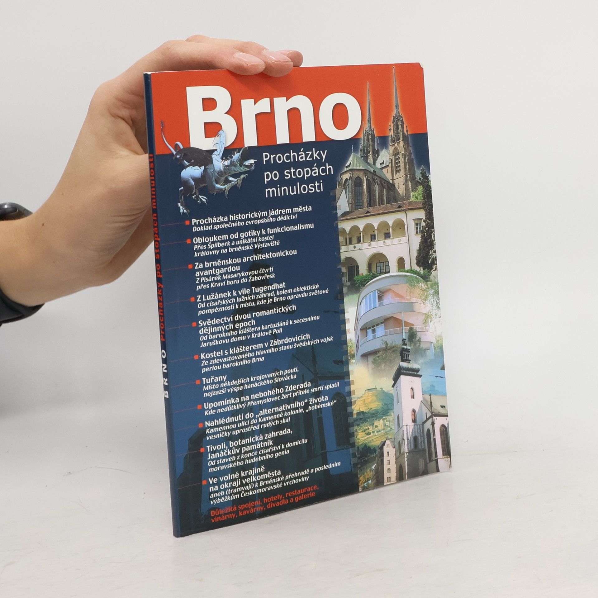 Ladislav Plch Brno: Procházky po stopách minulosti