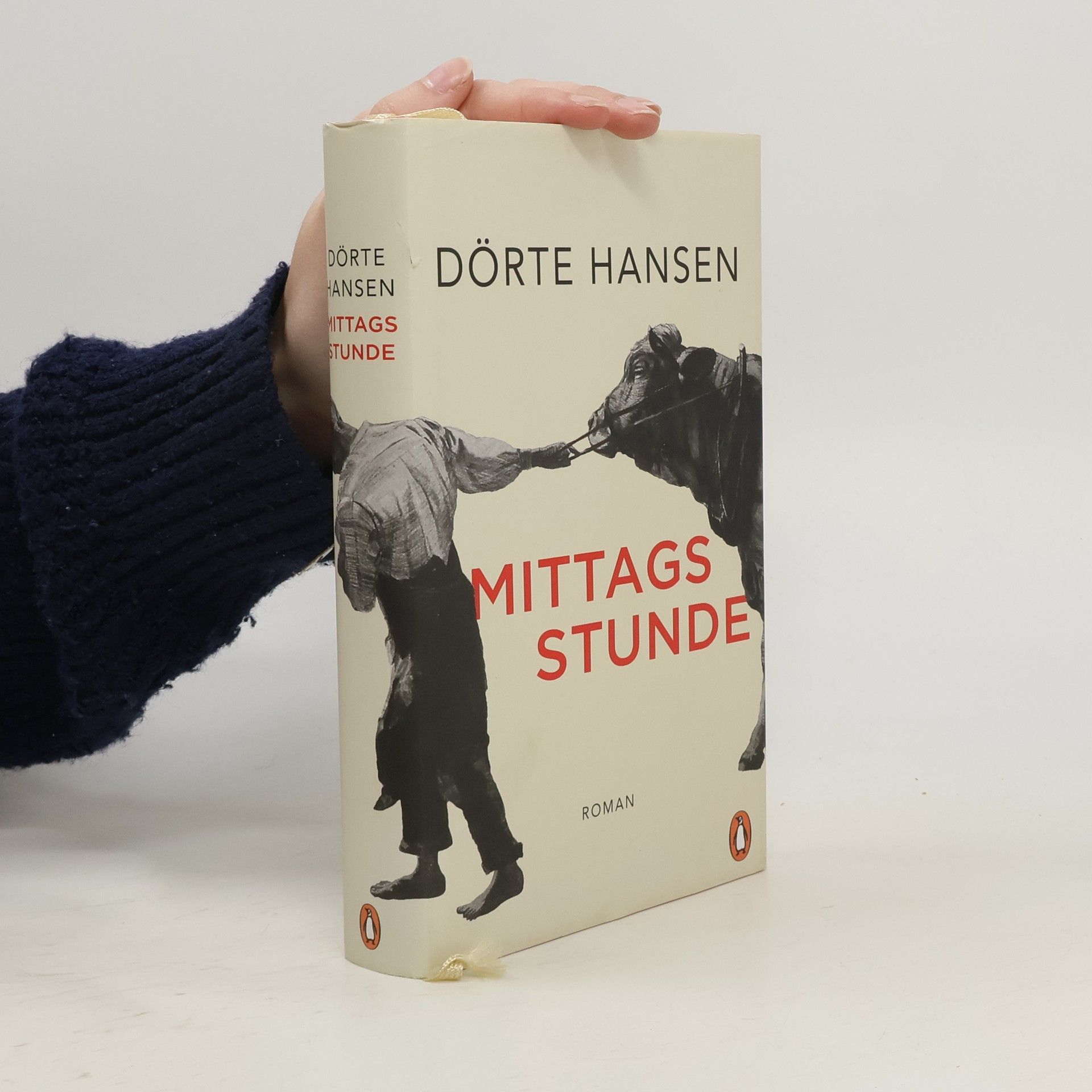Dörte Hansen Mittagsstunde
