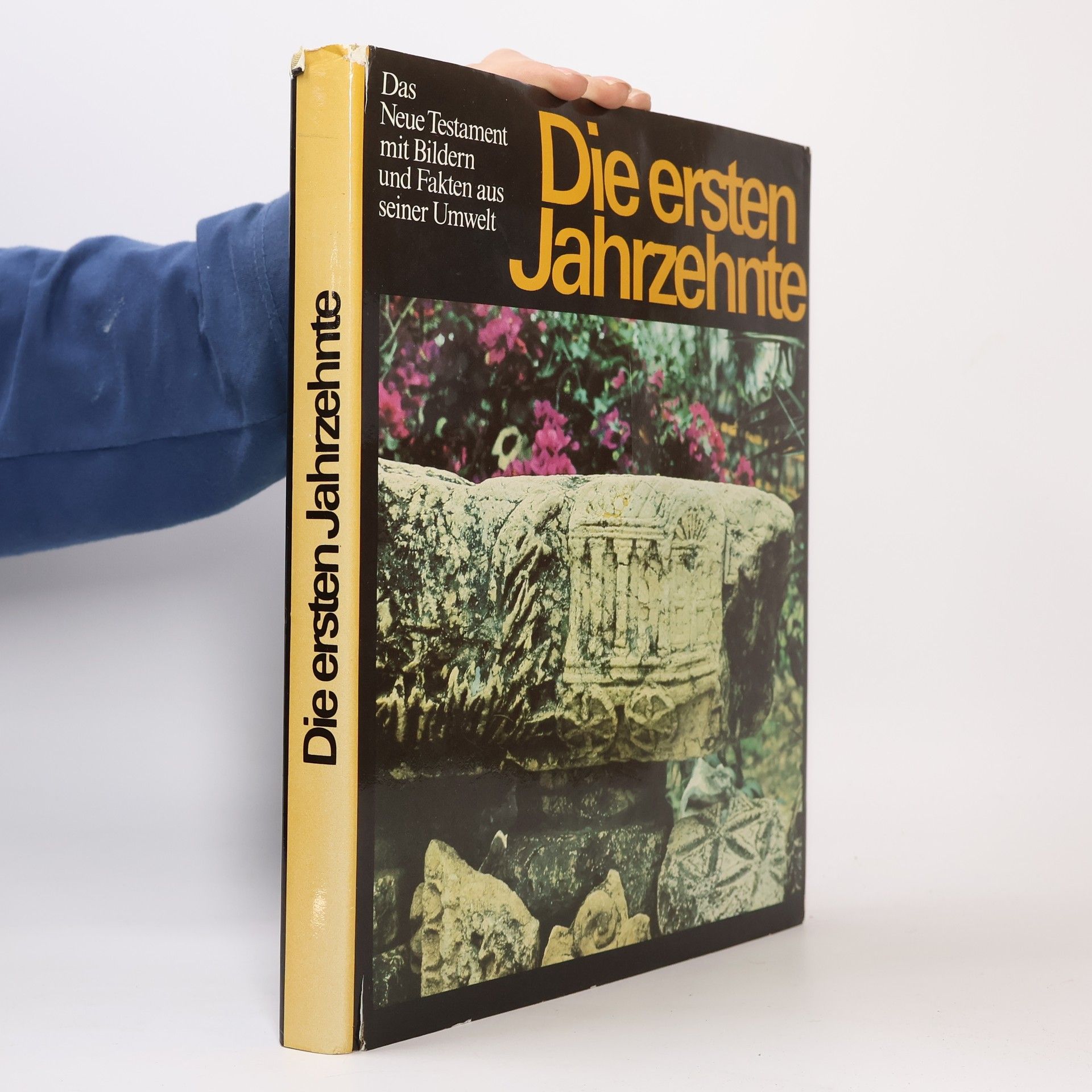 Die ersten Jahrzehnte