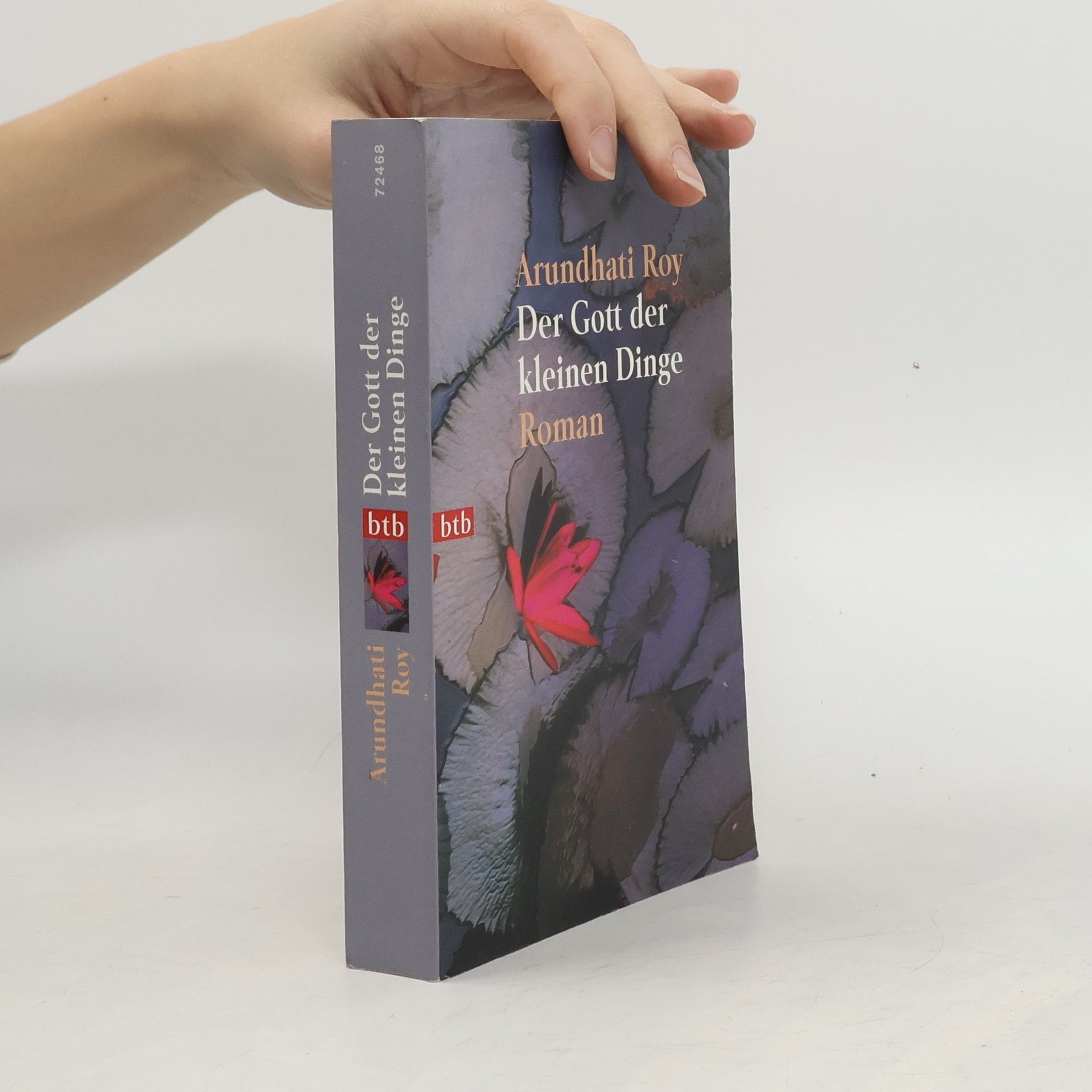 Arundhati Roy Der Gott der kleinen Dinge