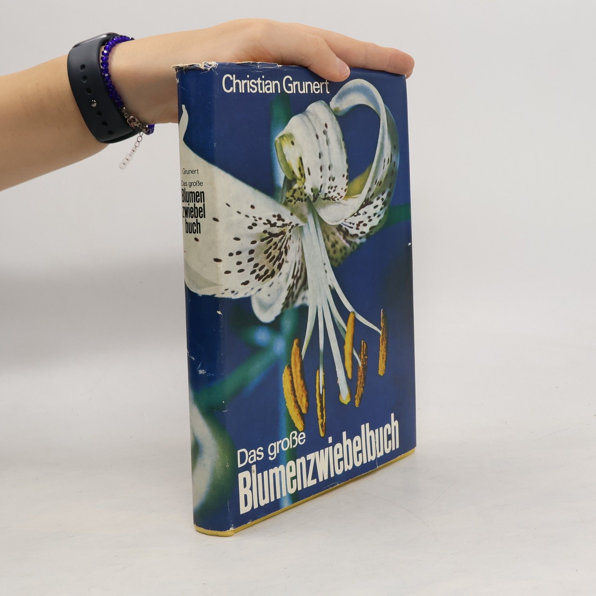 Das große Blumenzwiebelbuch