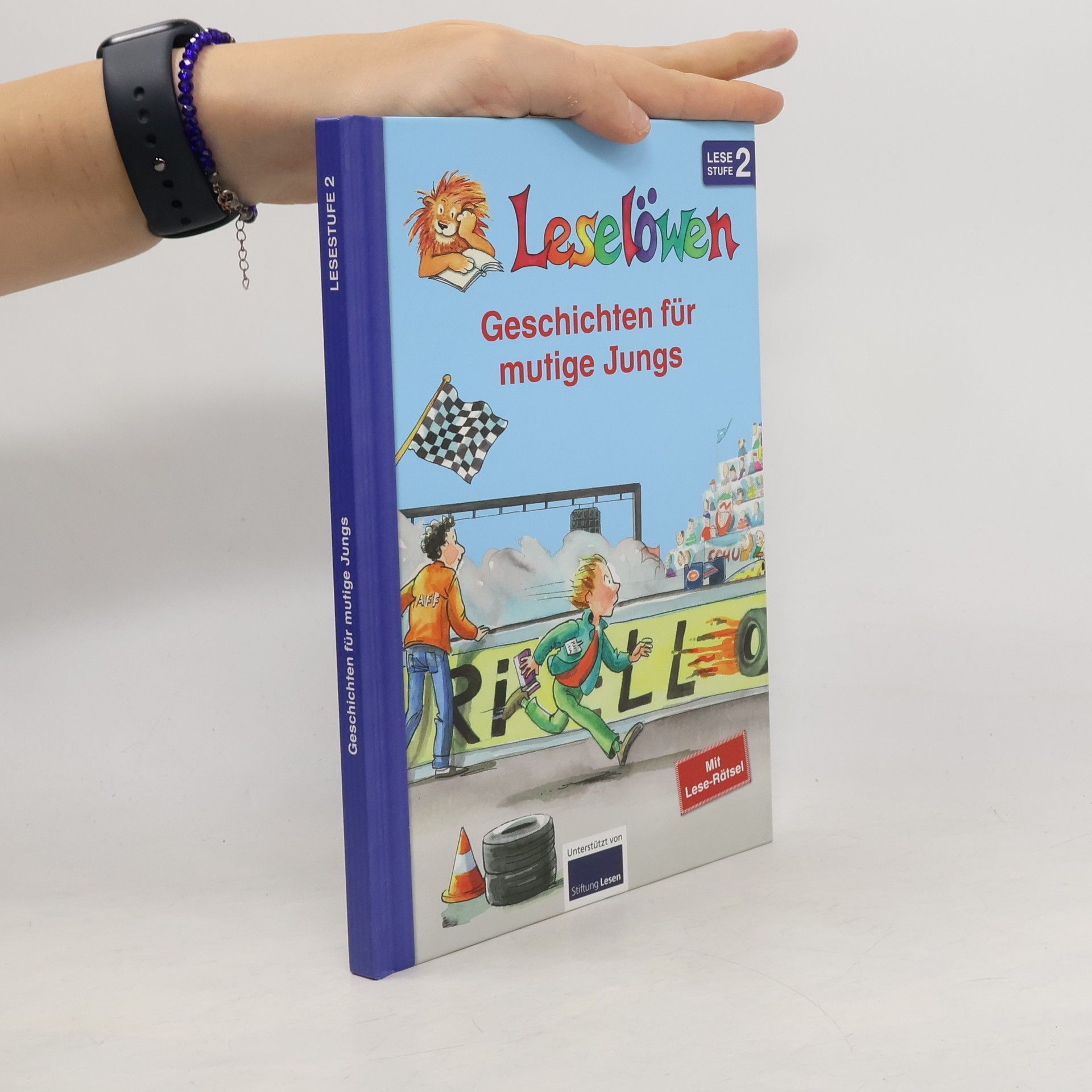 Autorenkollektiv Leselöwen: Geschichten für mutige Jungs