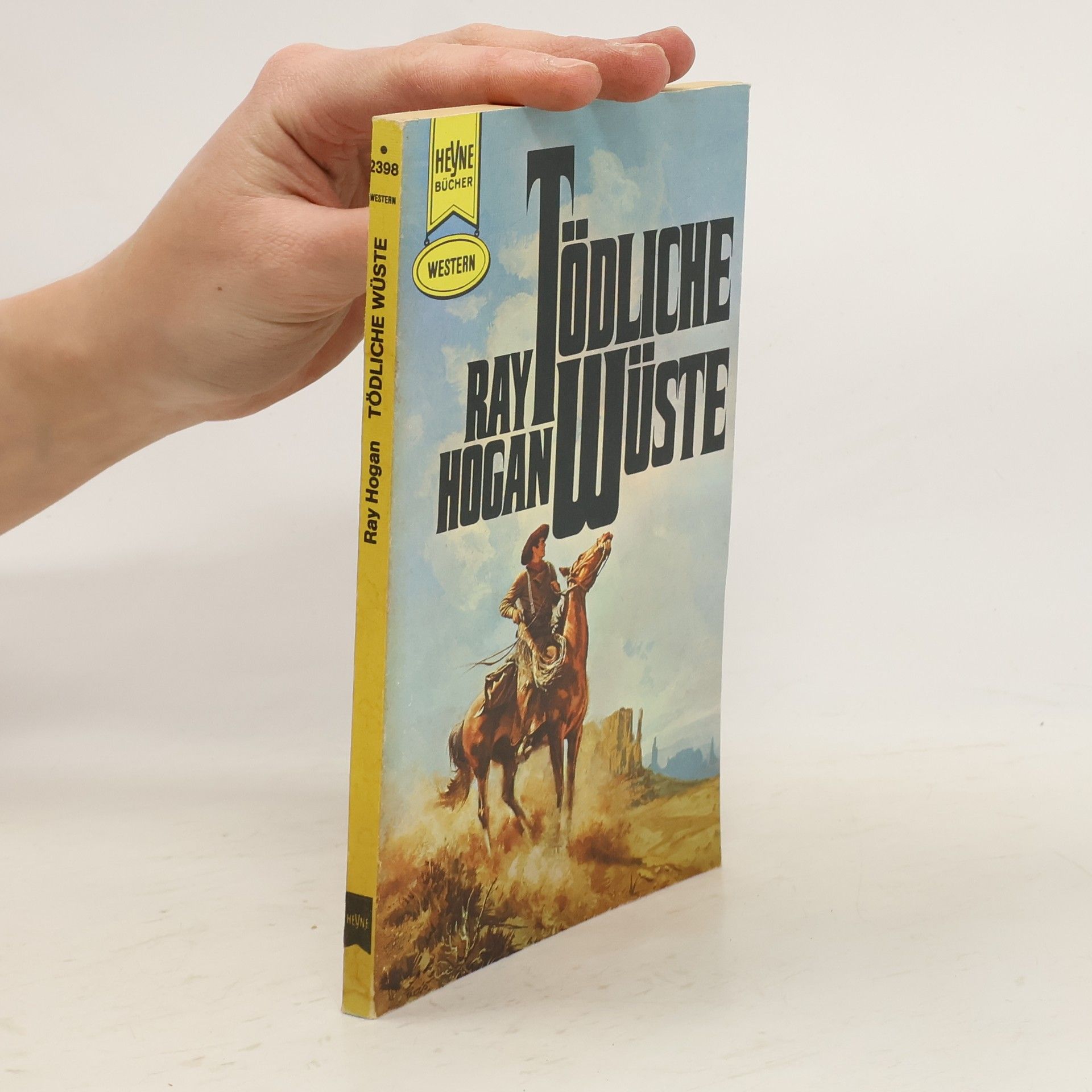 Ray Hogan Tödliche Wüste