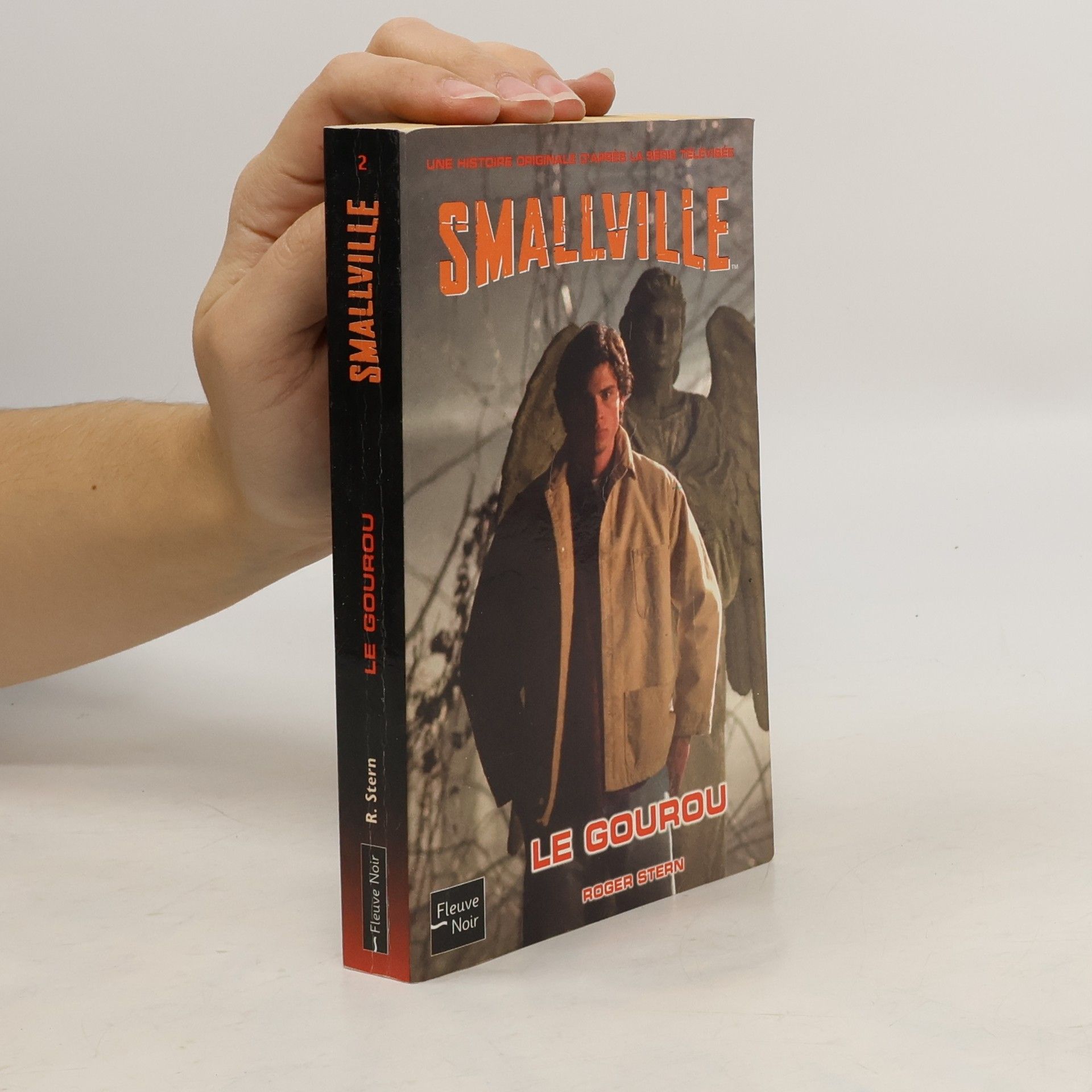 Roger Stern Smallville - 2: Le gourou