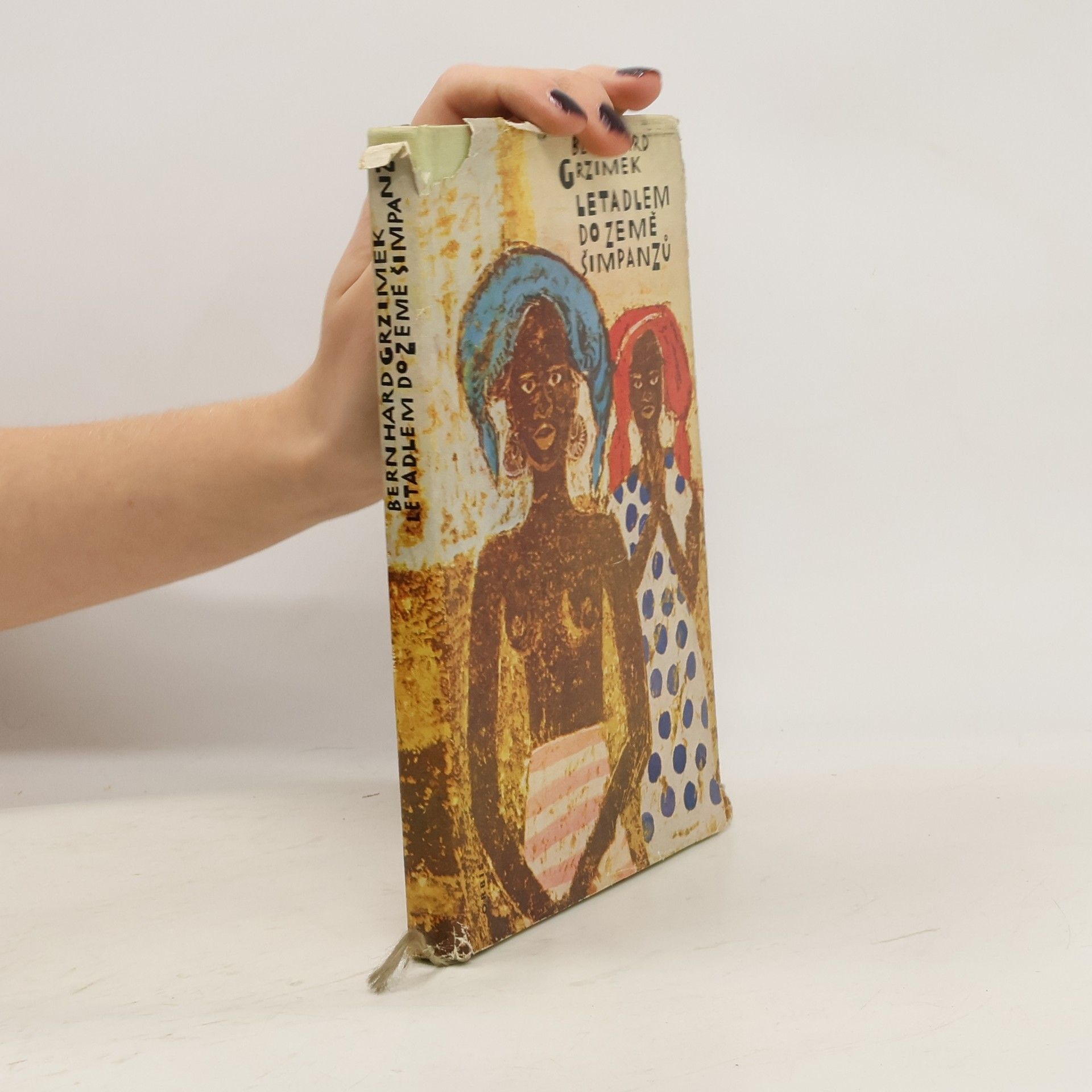 Letadlem do země šimpanzů