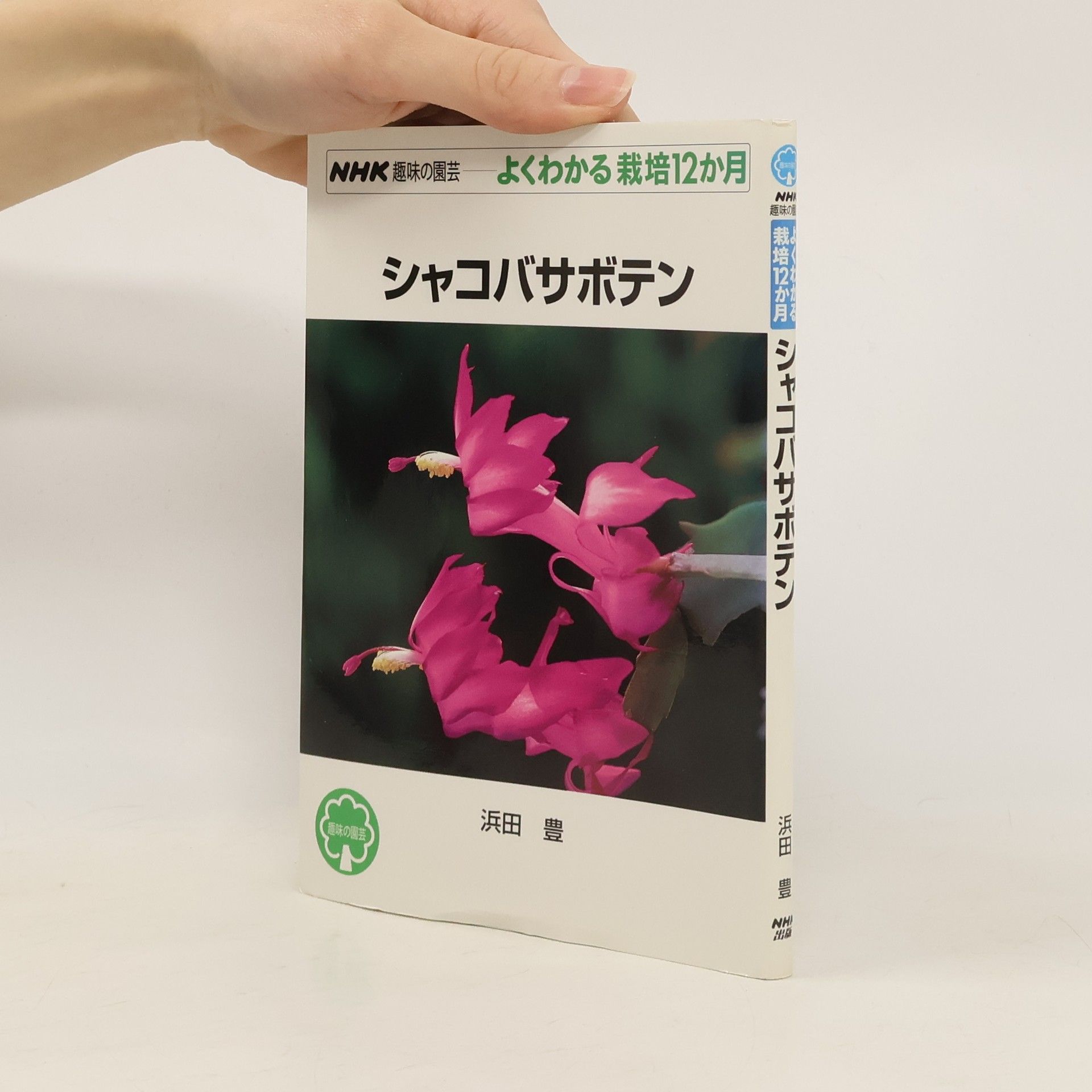 Hamada Yutaka シャコバサボテン