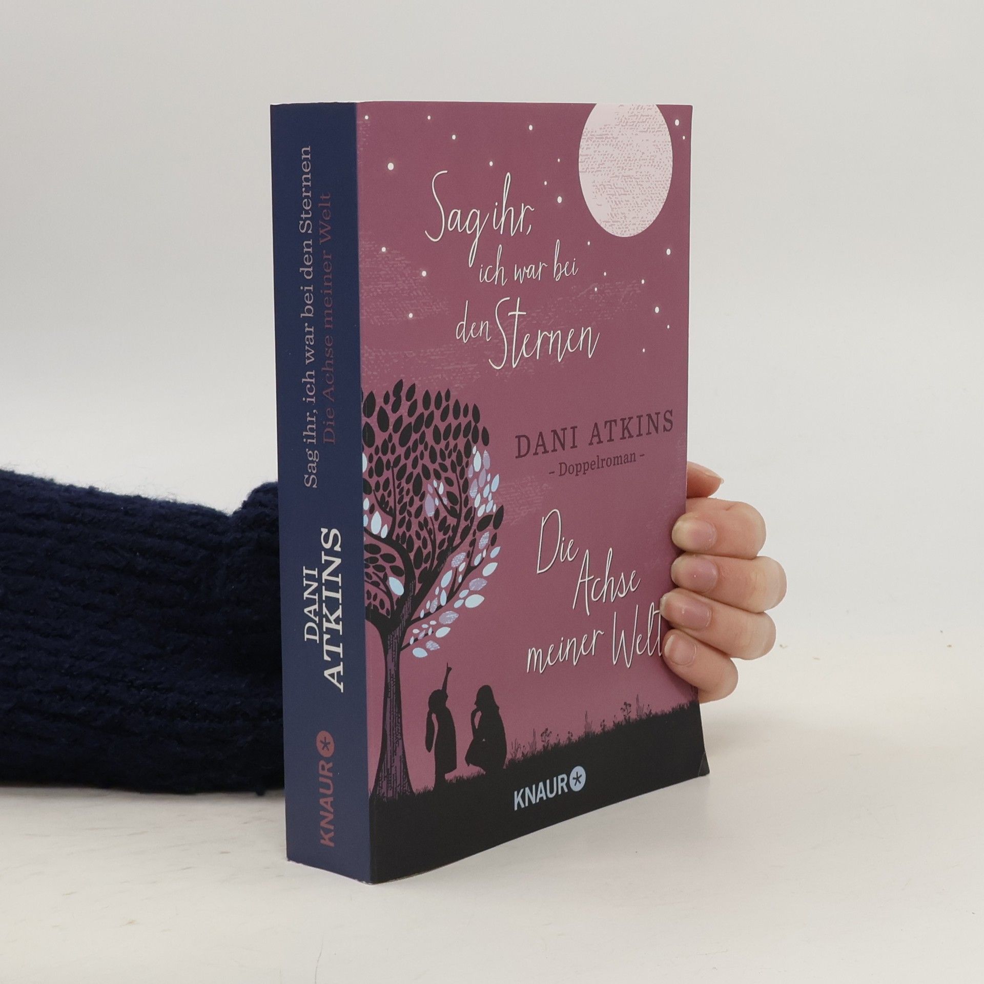 Dani Atkins Sag ihr, ich war bei den Sternen und Die Achse meiner Welt