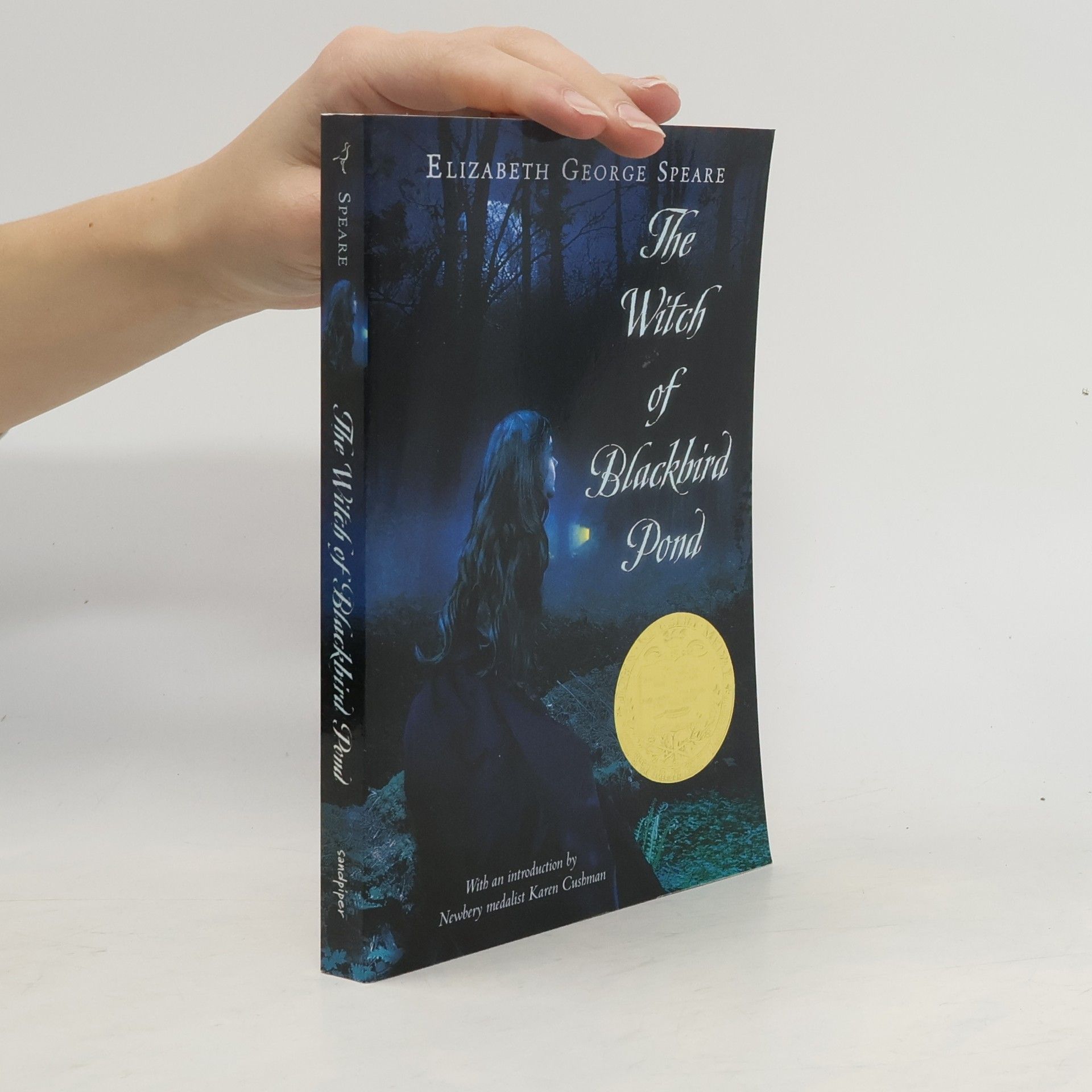 WITCH OF BLACKBIRD POND