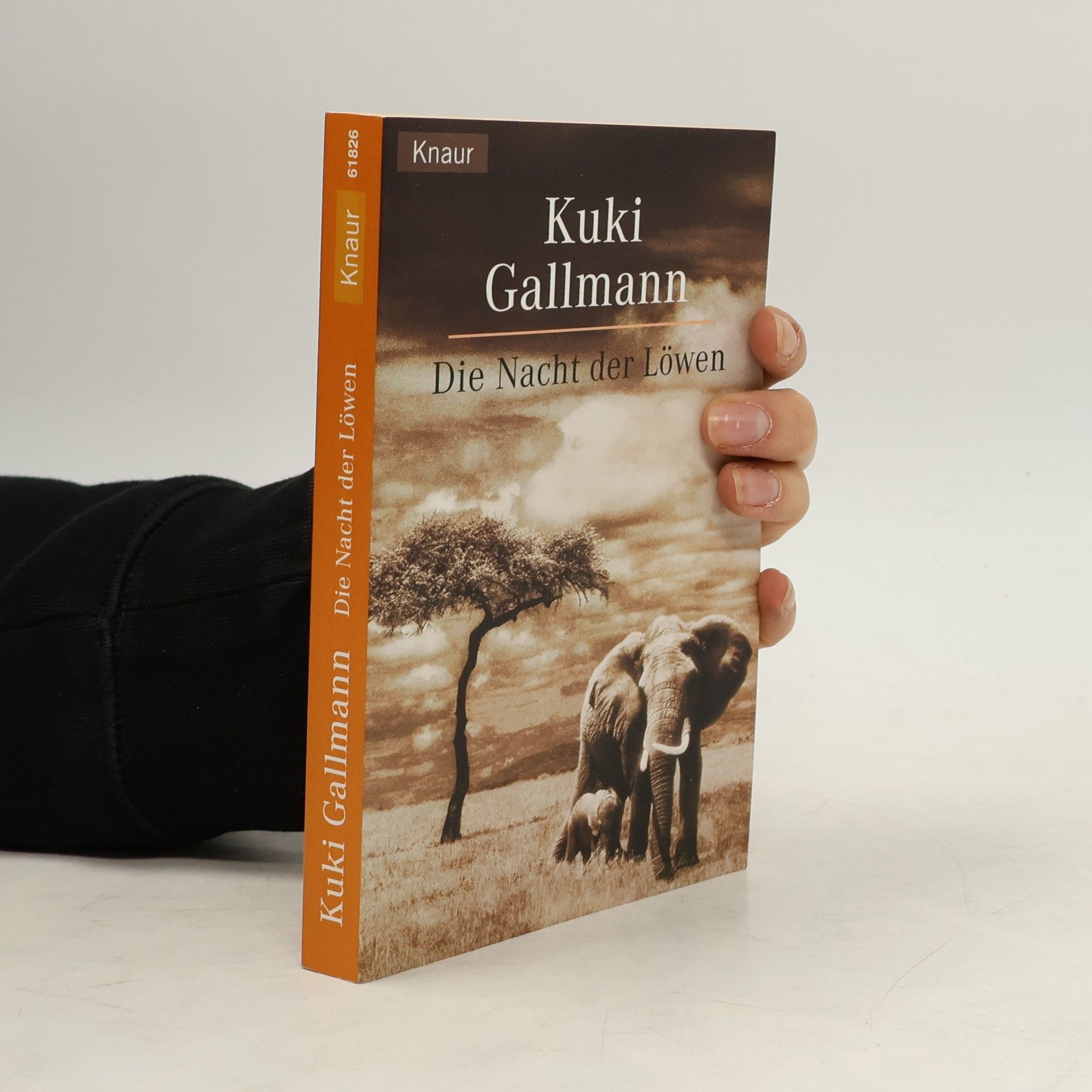 Kuki Gallmann Die Nacht der Löwen