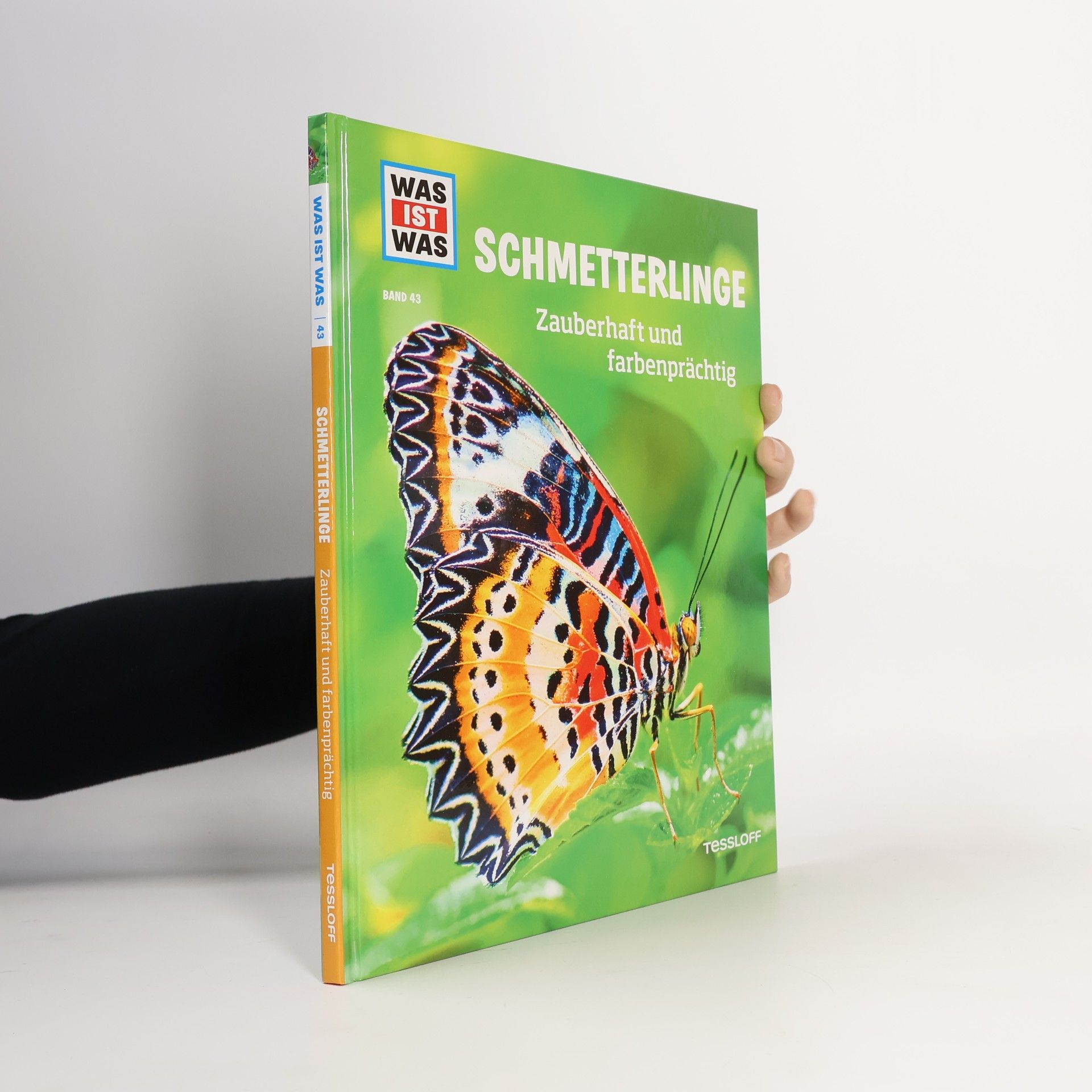 Nicole Röndigs Schmetterlinge