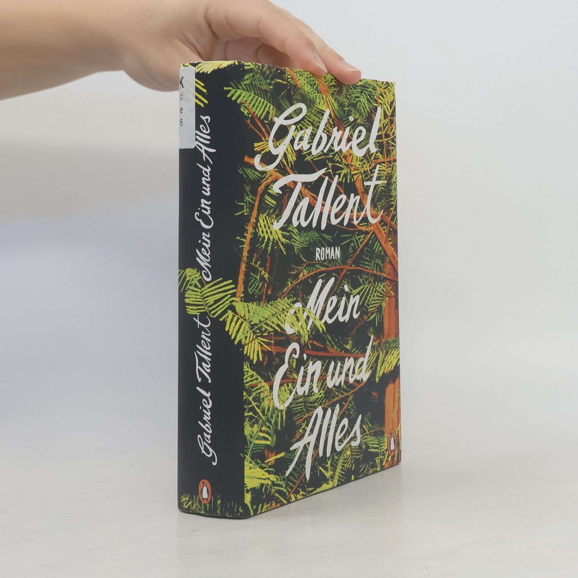 Gabriel Tallent Mein Ein und Alles