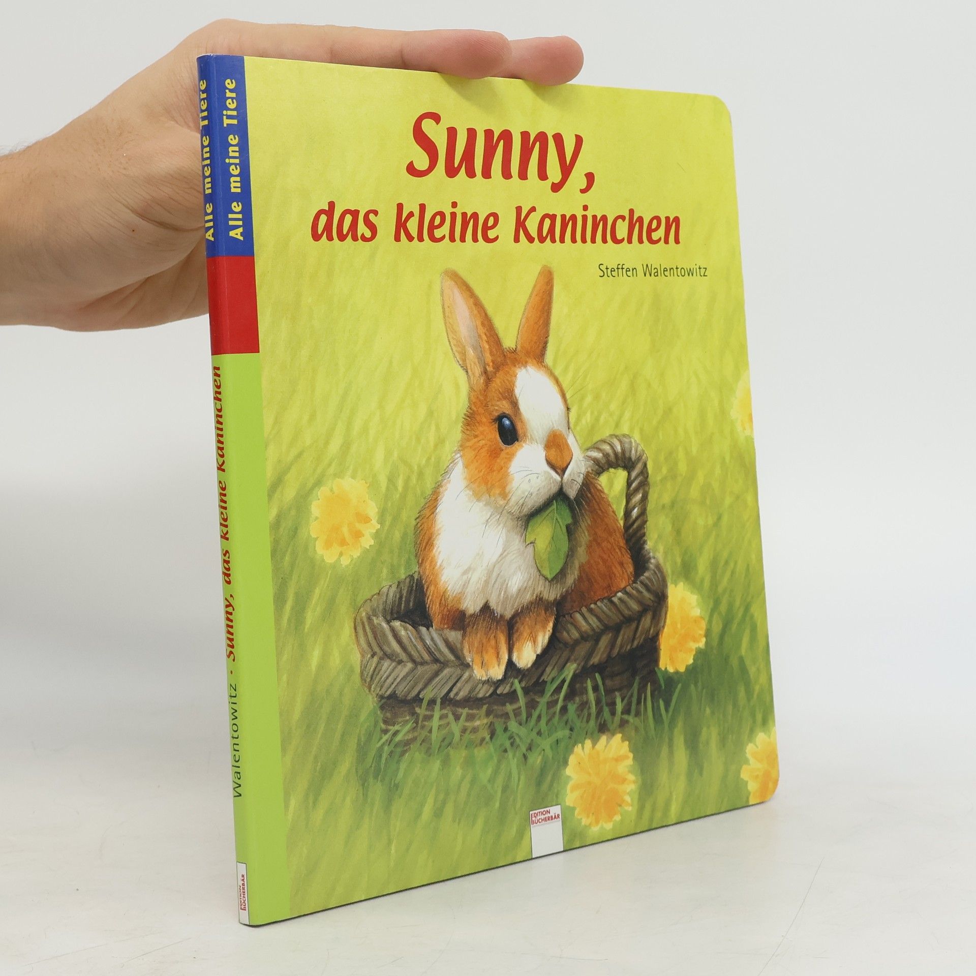 Steffen Walentowitz Sunny, das kleine Kaninchen