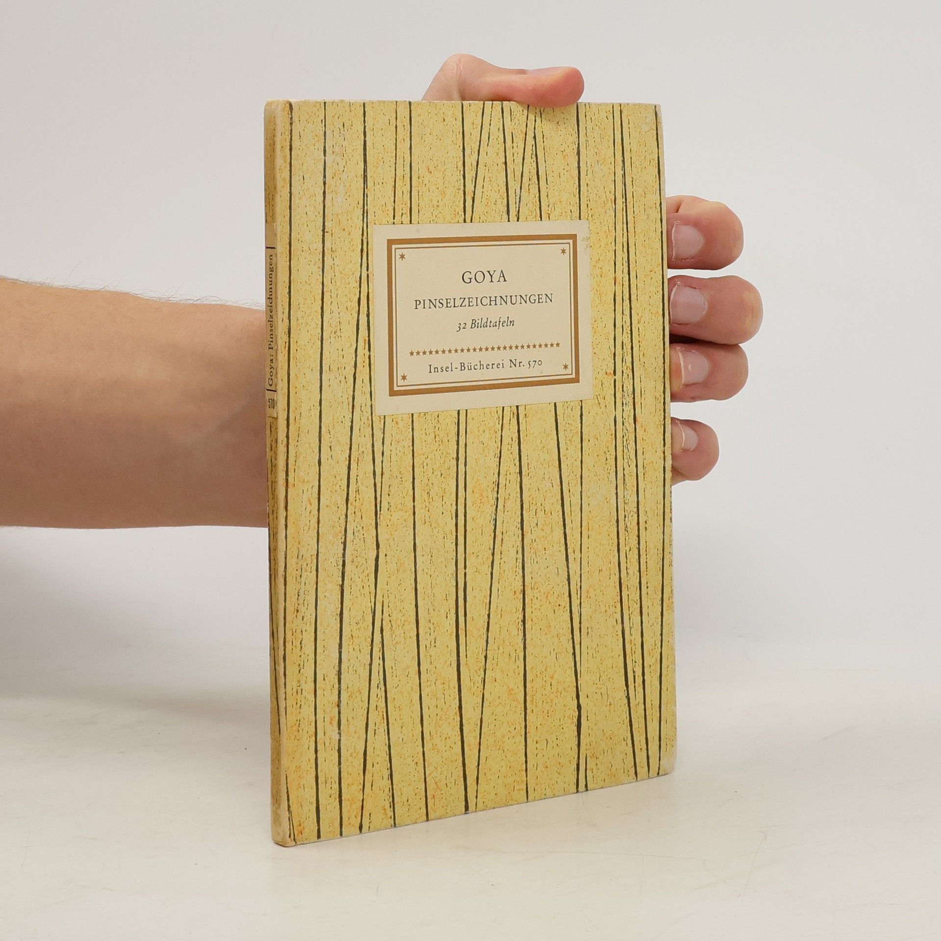 Francisco Goya Pinselzeichnungen. 32 Bildtafeln