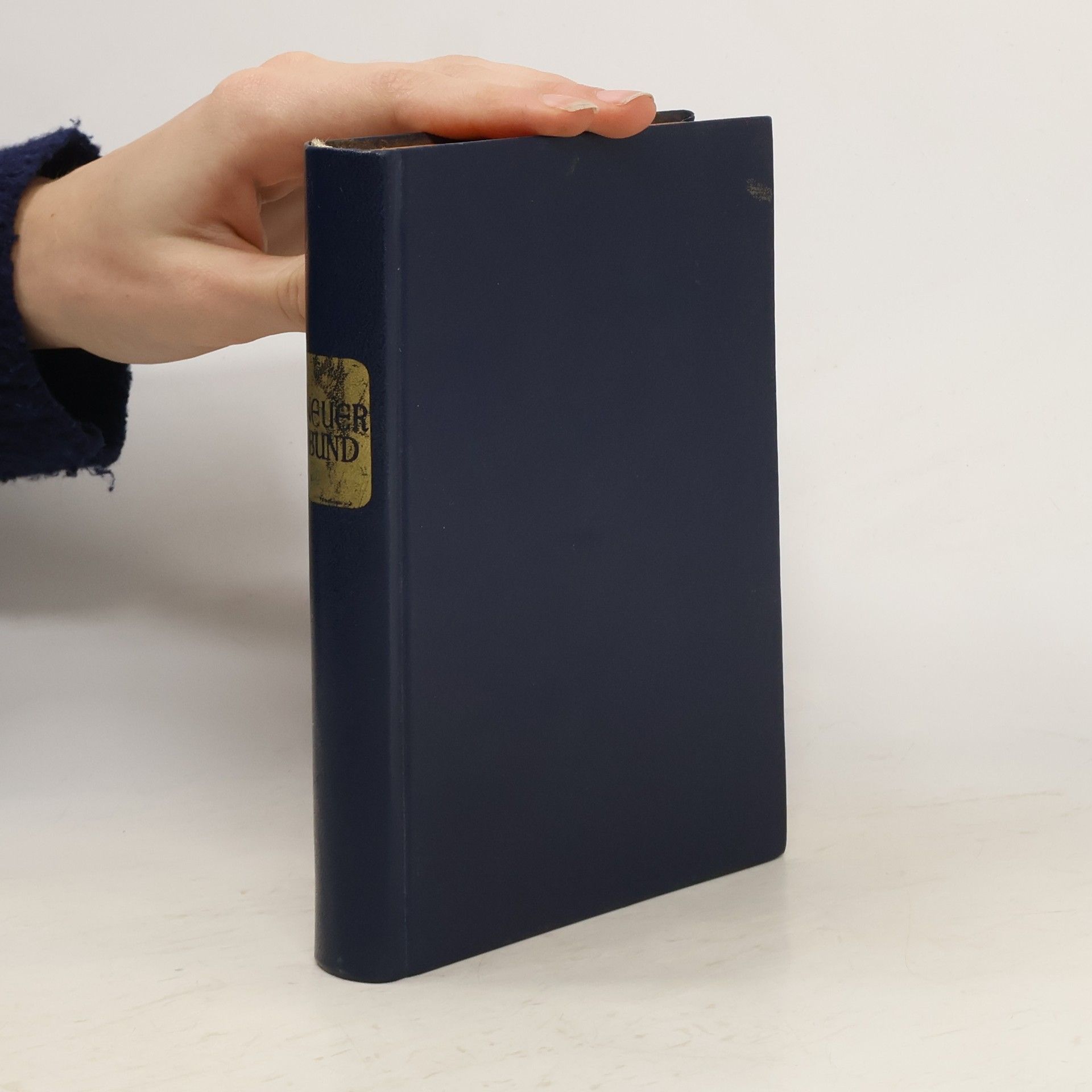 Pius Parsch Die Heilige Schrift des Neuen Bundes