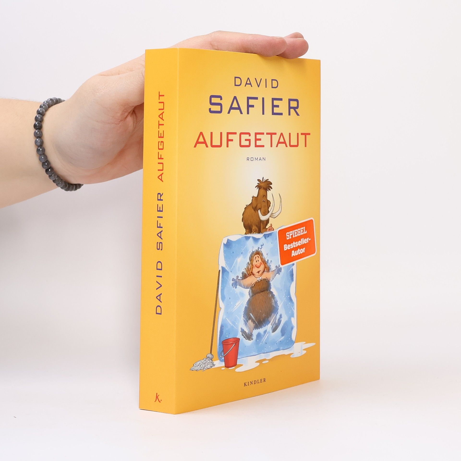 David Safier Aufgetaut