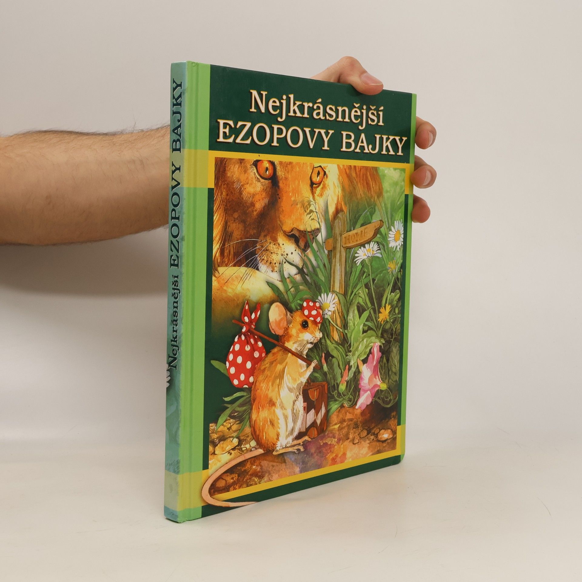 Autores varios Nejkrásnější Ezopovy bajky
