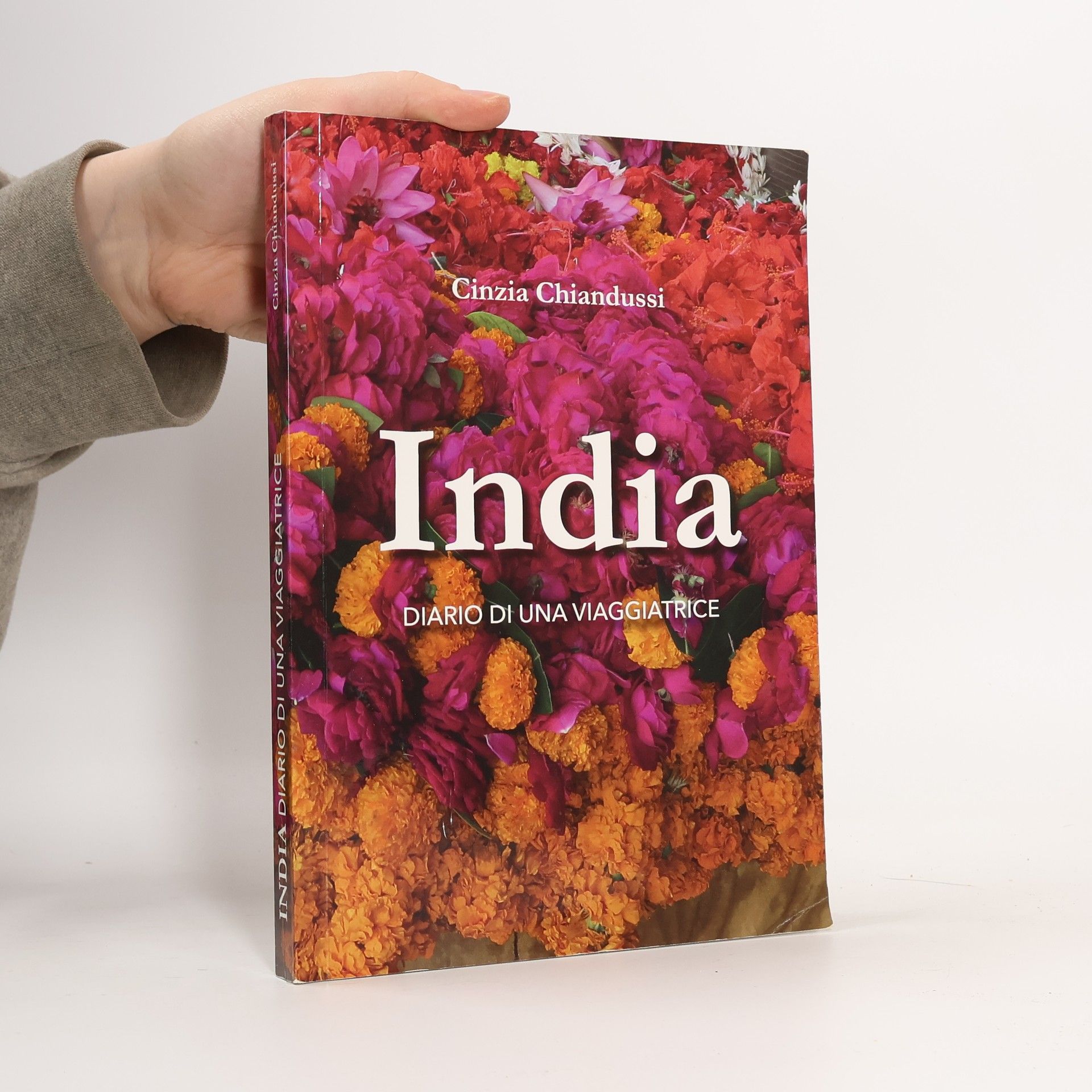 Cinzia Chiandussi India. Diario du una viaggiatrice