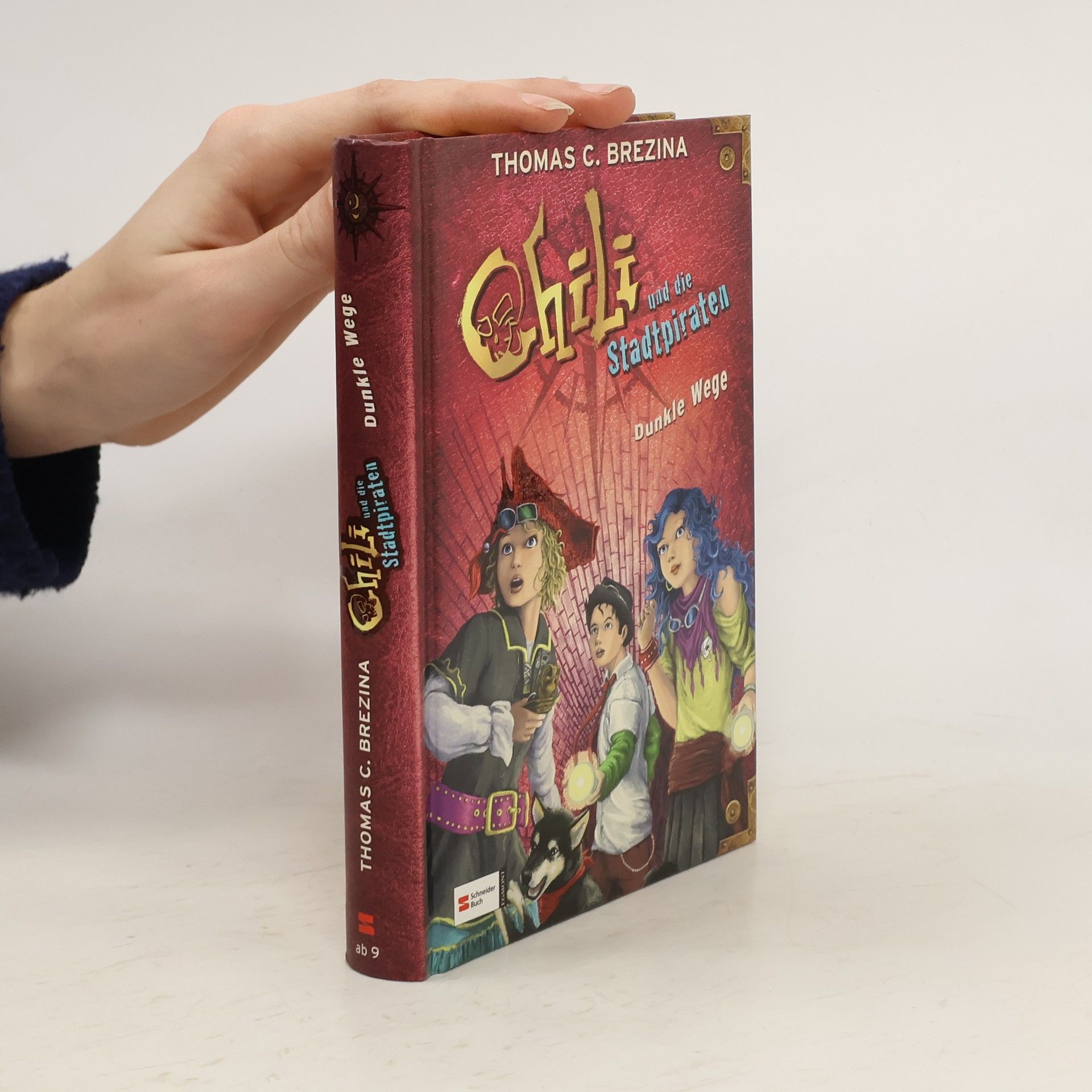 Thomas C. Brezina Chili und die Stadtpiraten 2