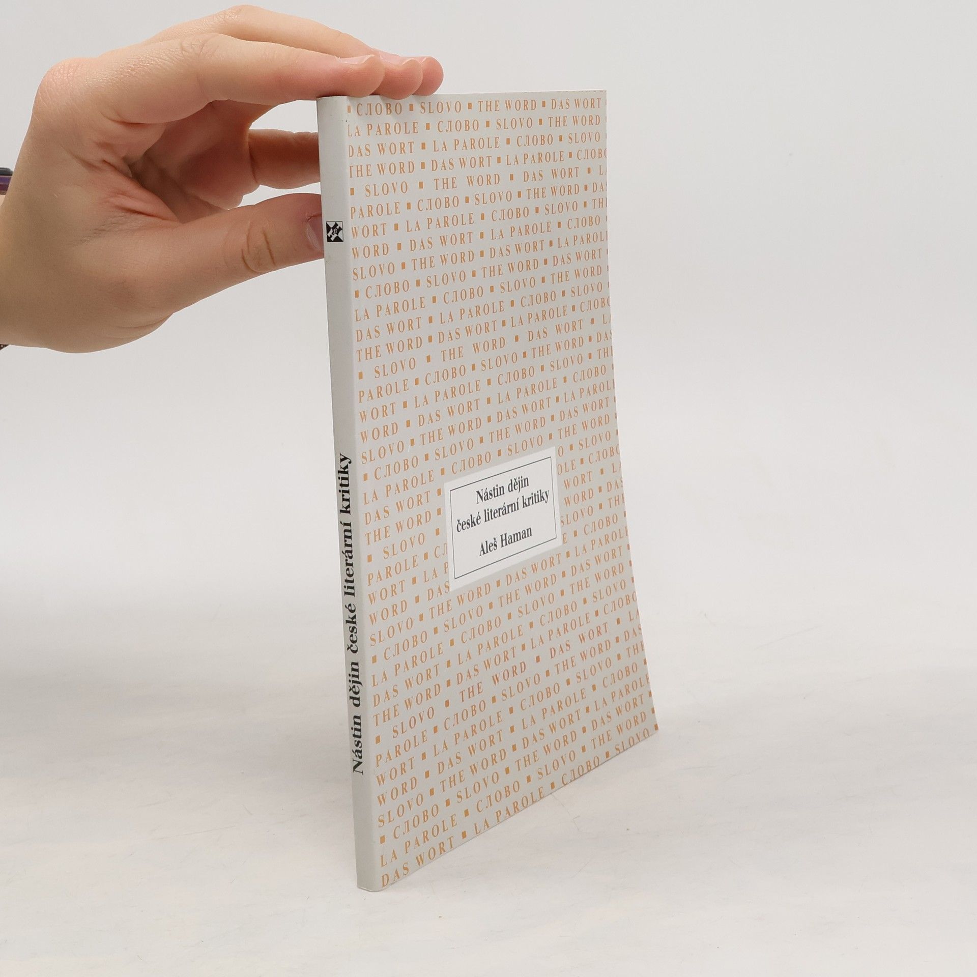 Aleš Haman Nástin dějin české literární kritiky